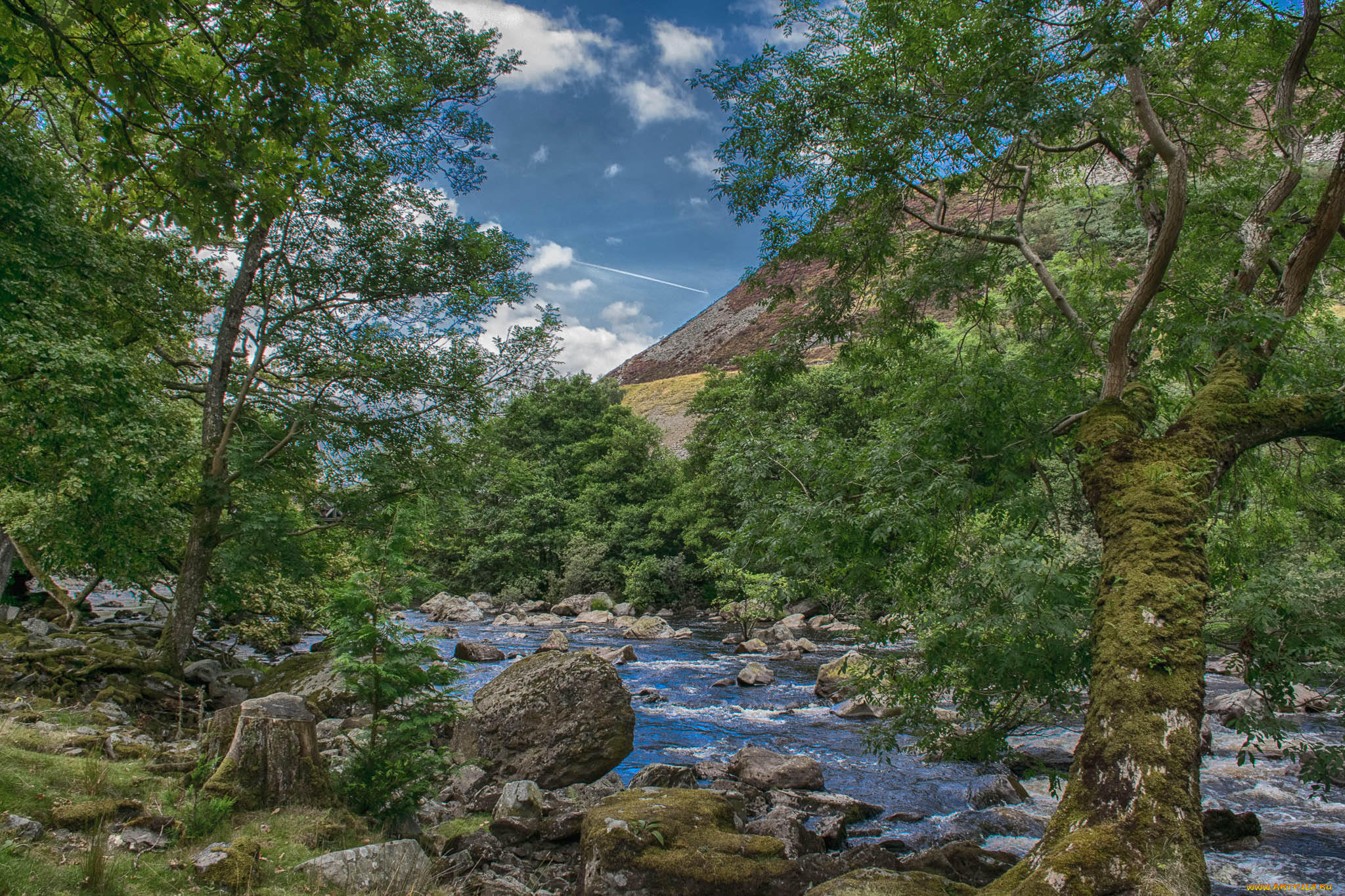 природа, реки, озера, простор