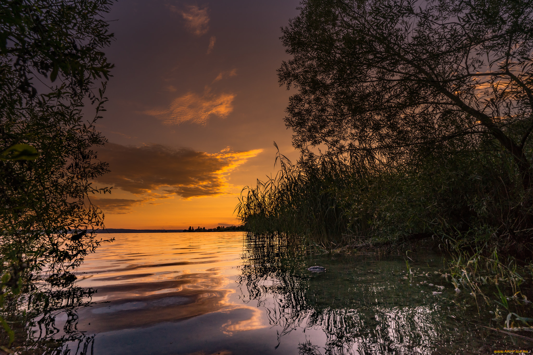 природа, реки, озера, простор