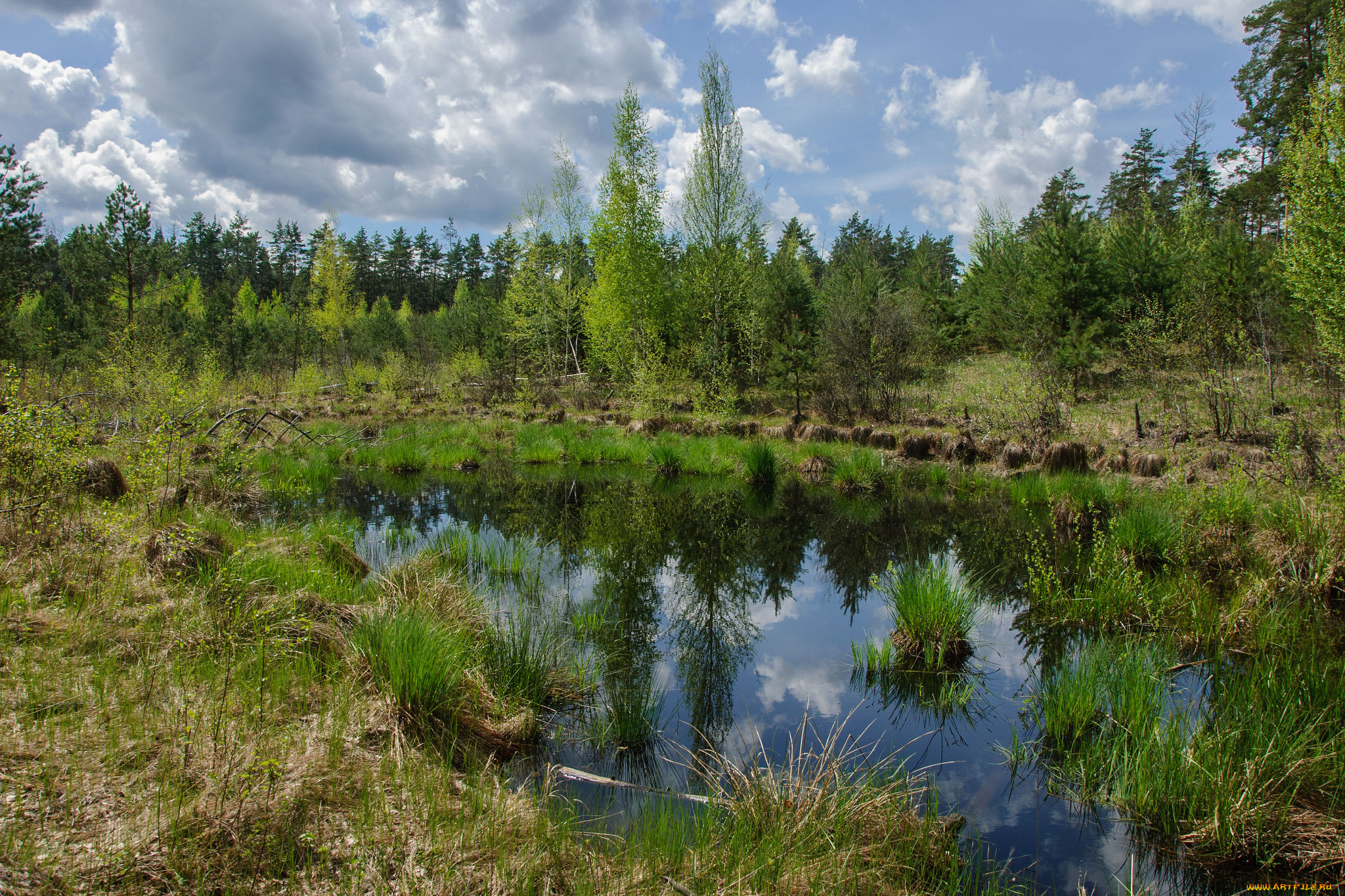 природа, реки, озера, простор