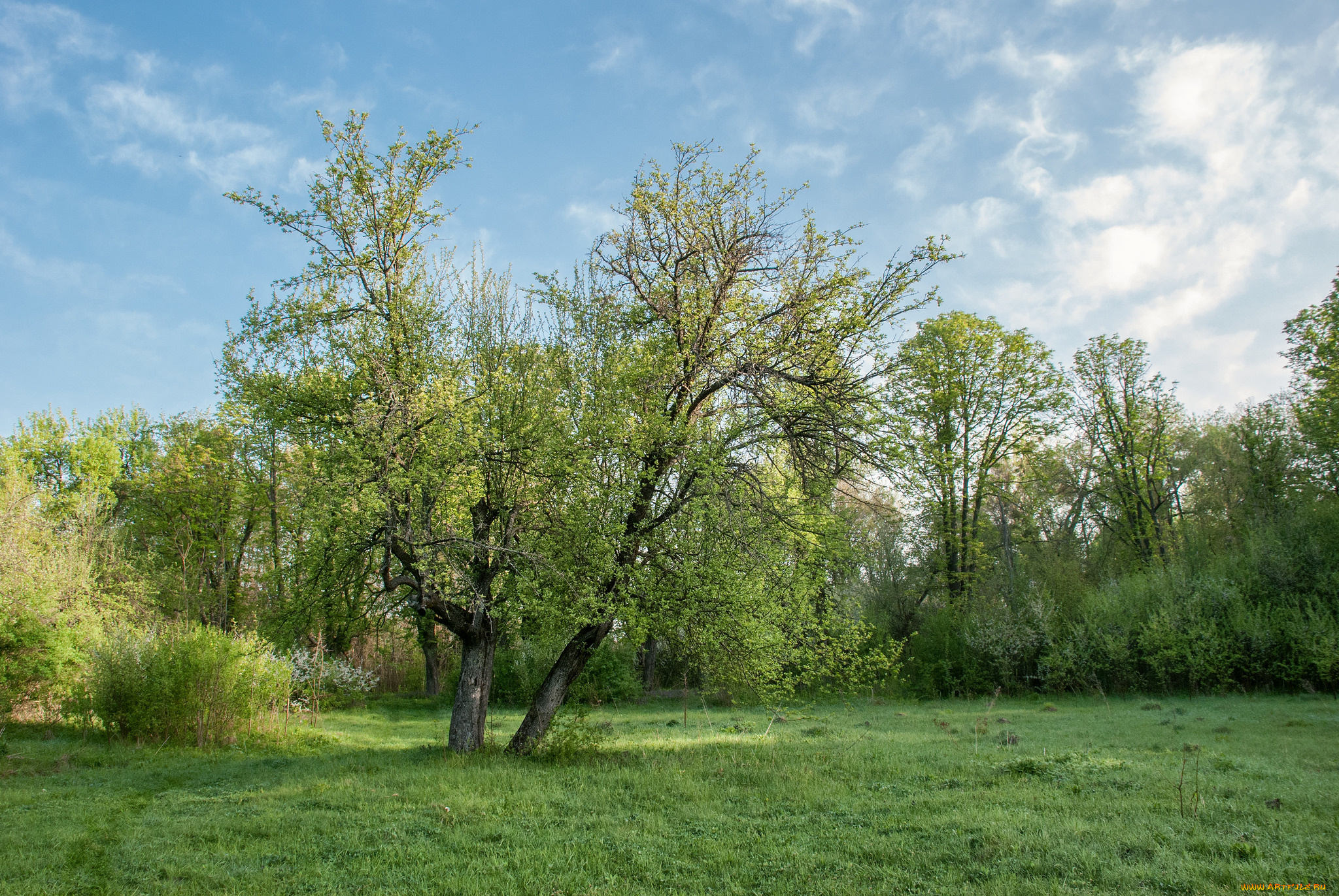 природа, пейзажи, простор