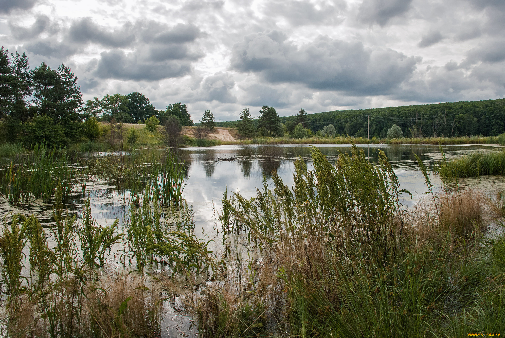 природа, реки, озера, простор