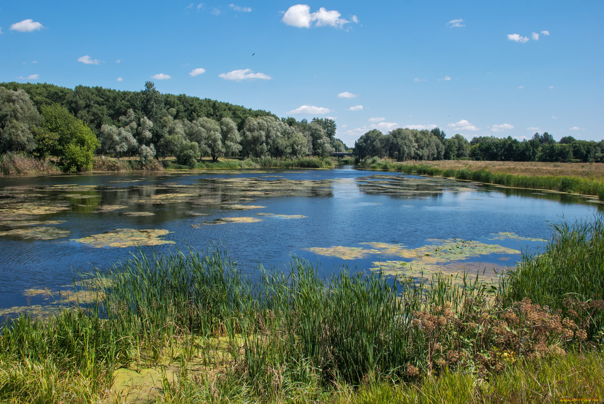 природа, реки, озера, простор