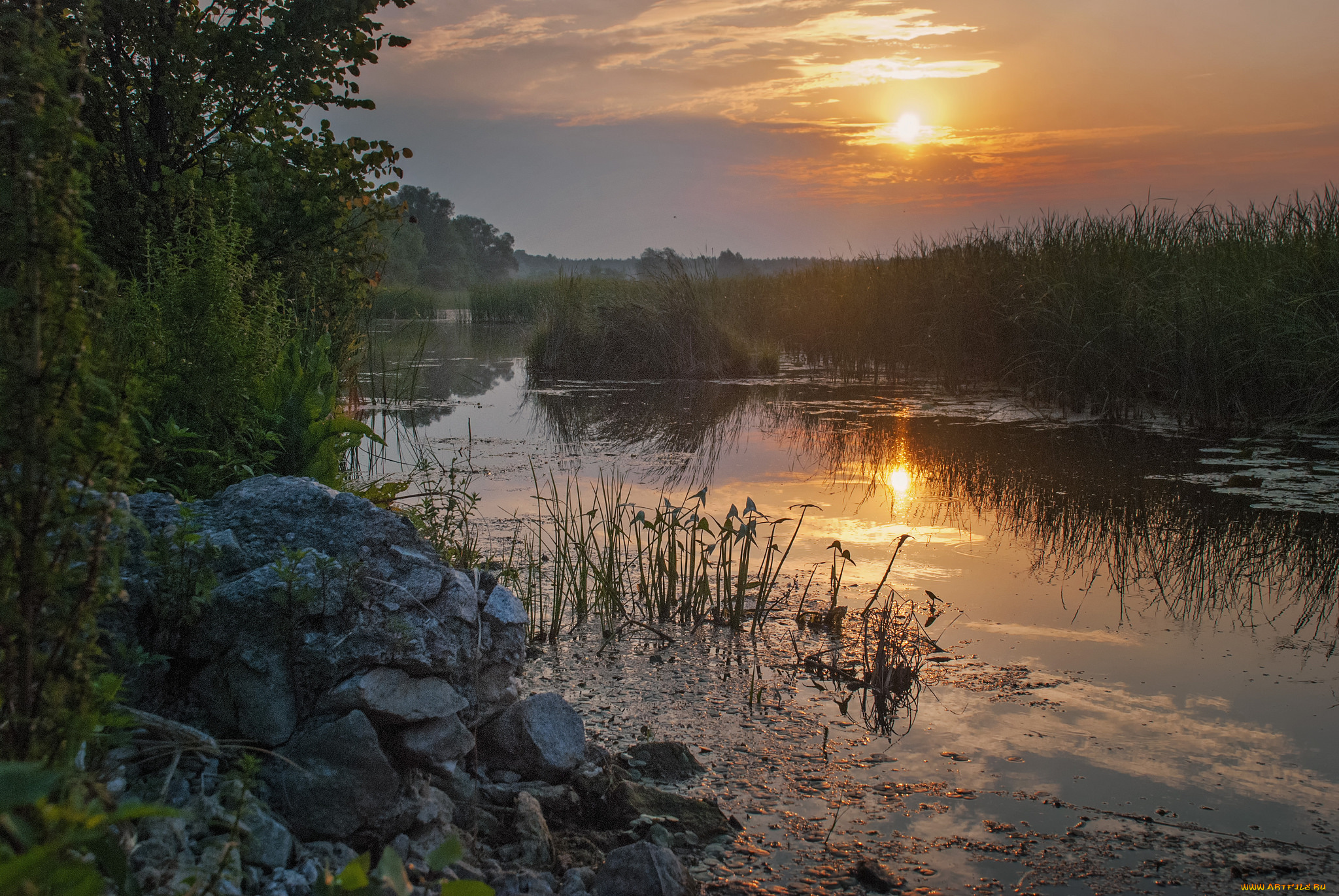 природа, реки, озера, простор
