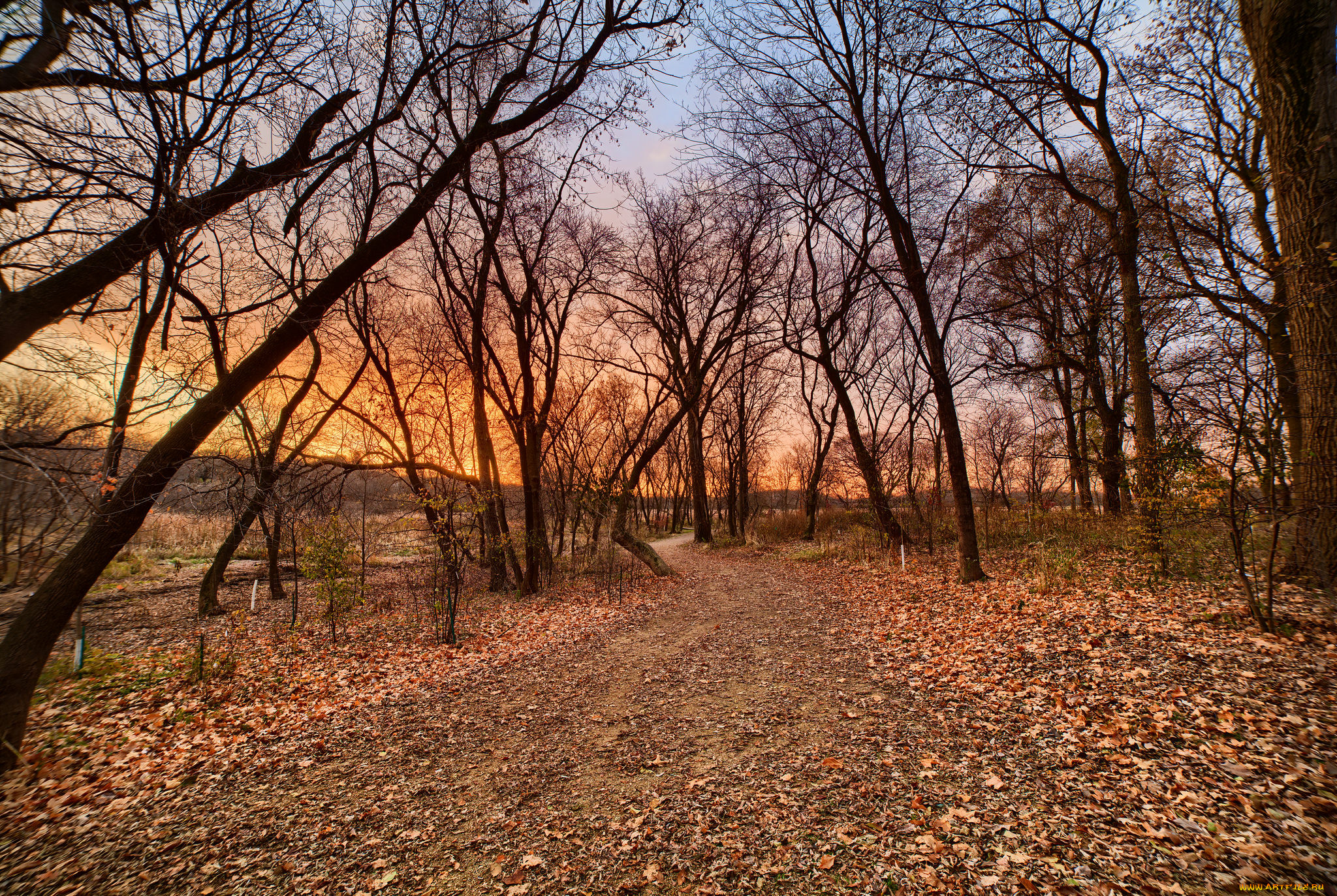 природа, дороги, простор