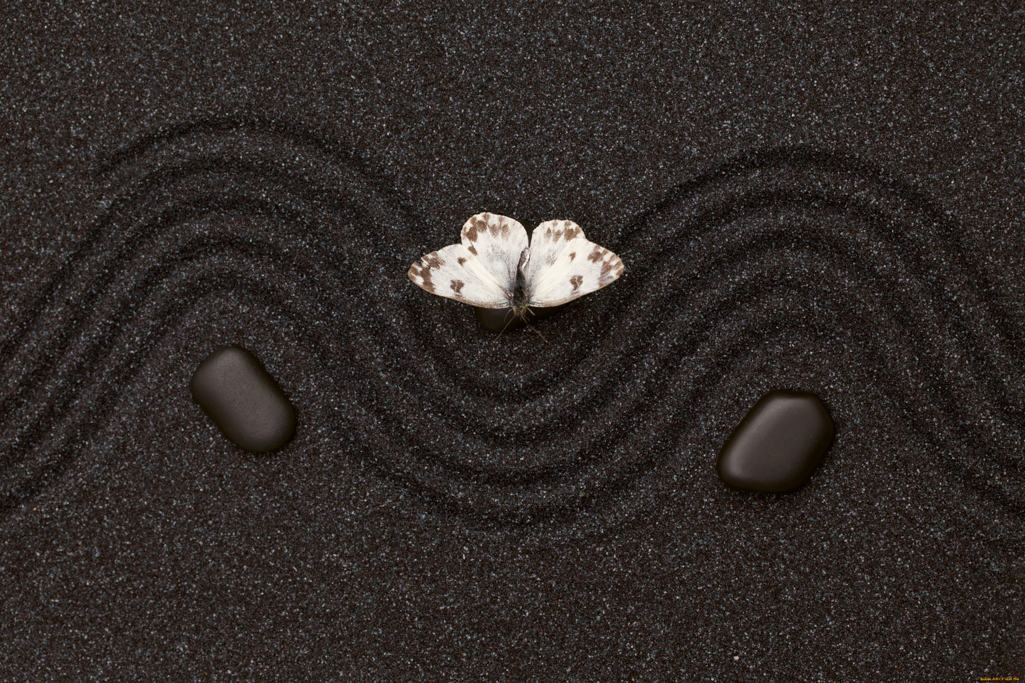 разное, текстуры, камень, бабочка, текстура, узор, песок