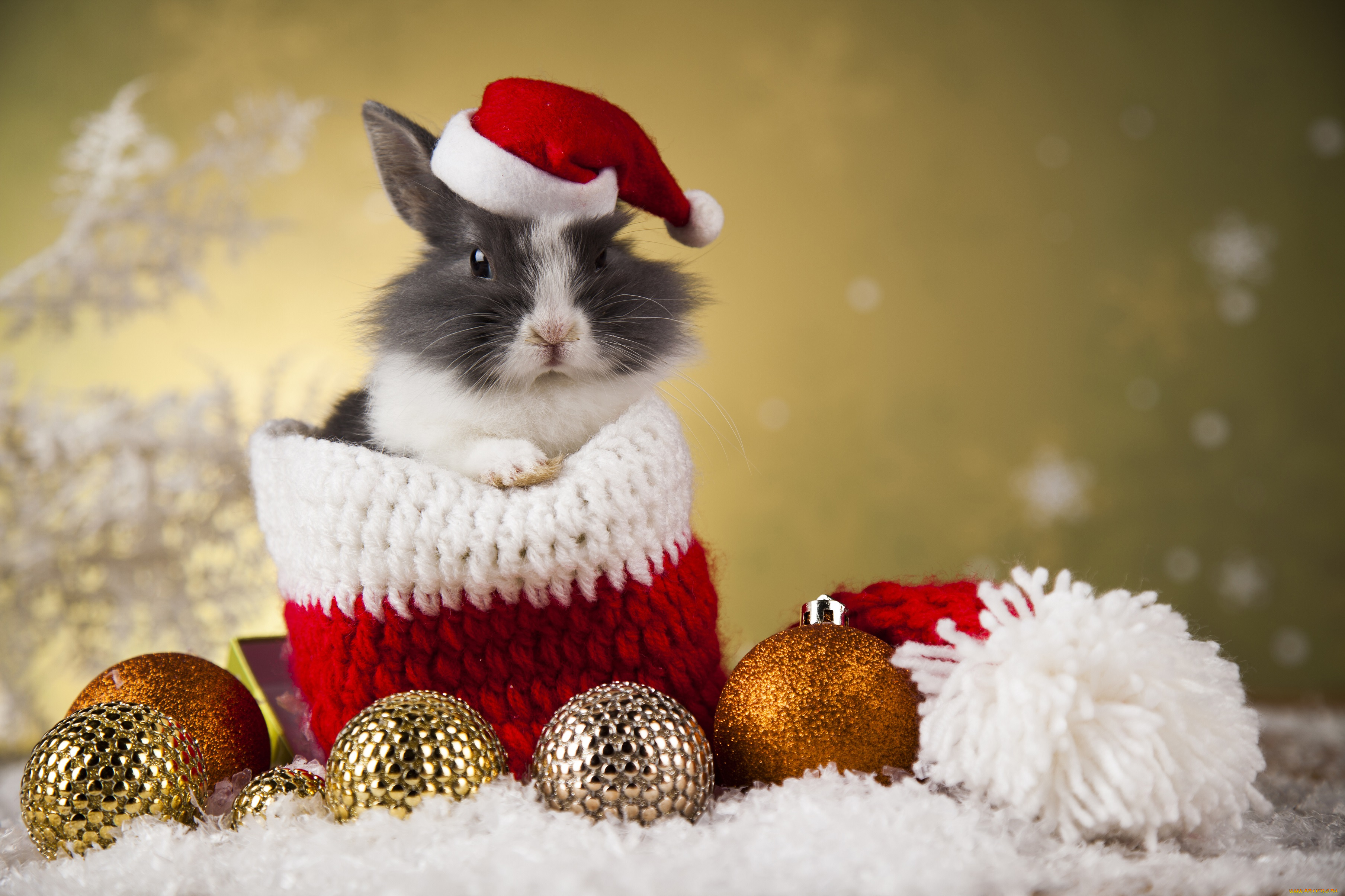 животные, кролики, , зайцы, новый, год, мешок, праздник, игрушки, кролик