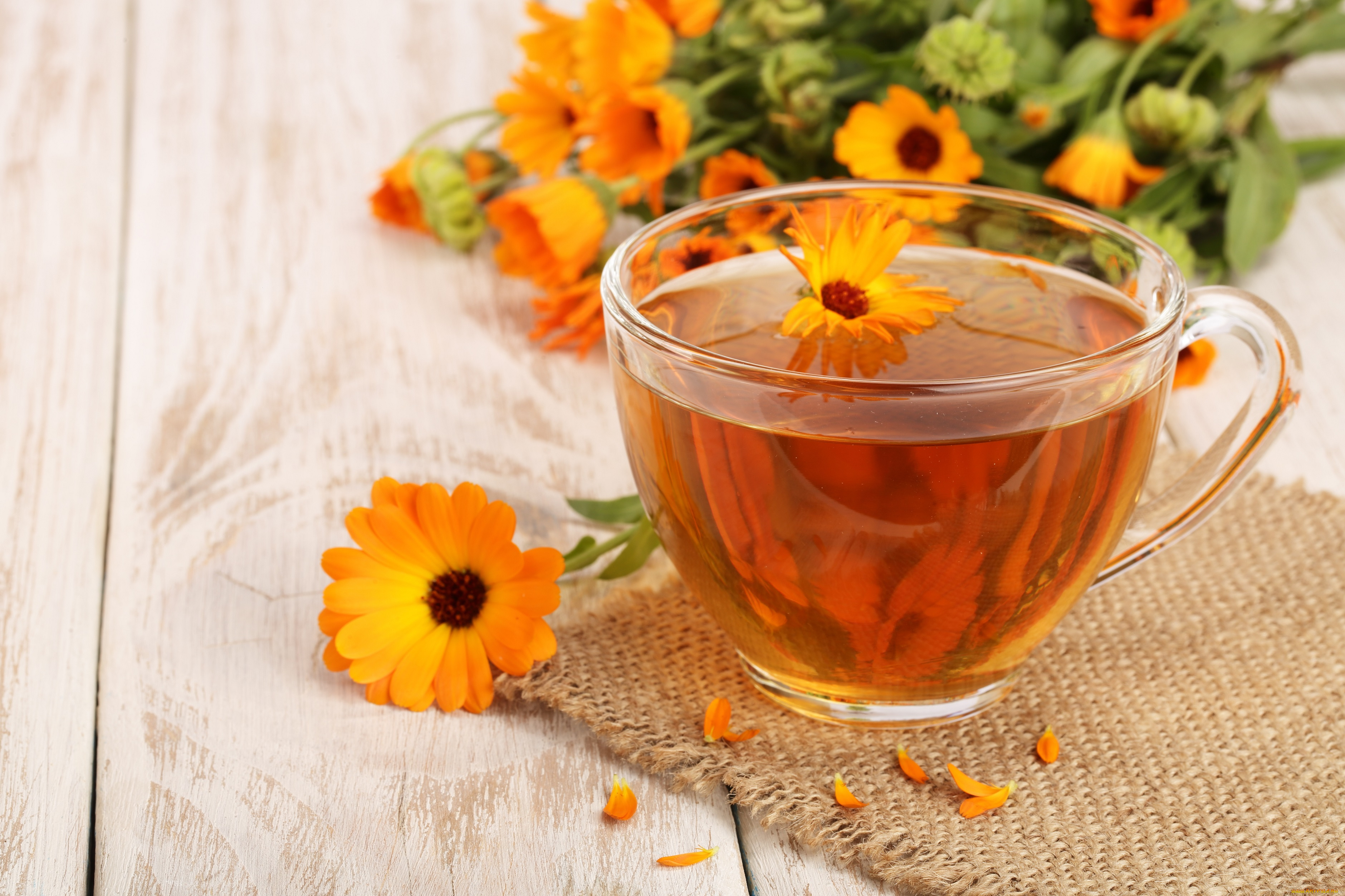 еда, напитки, , Чай, цветки, календула, чай