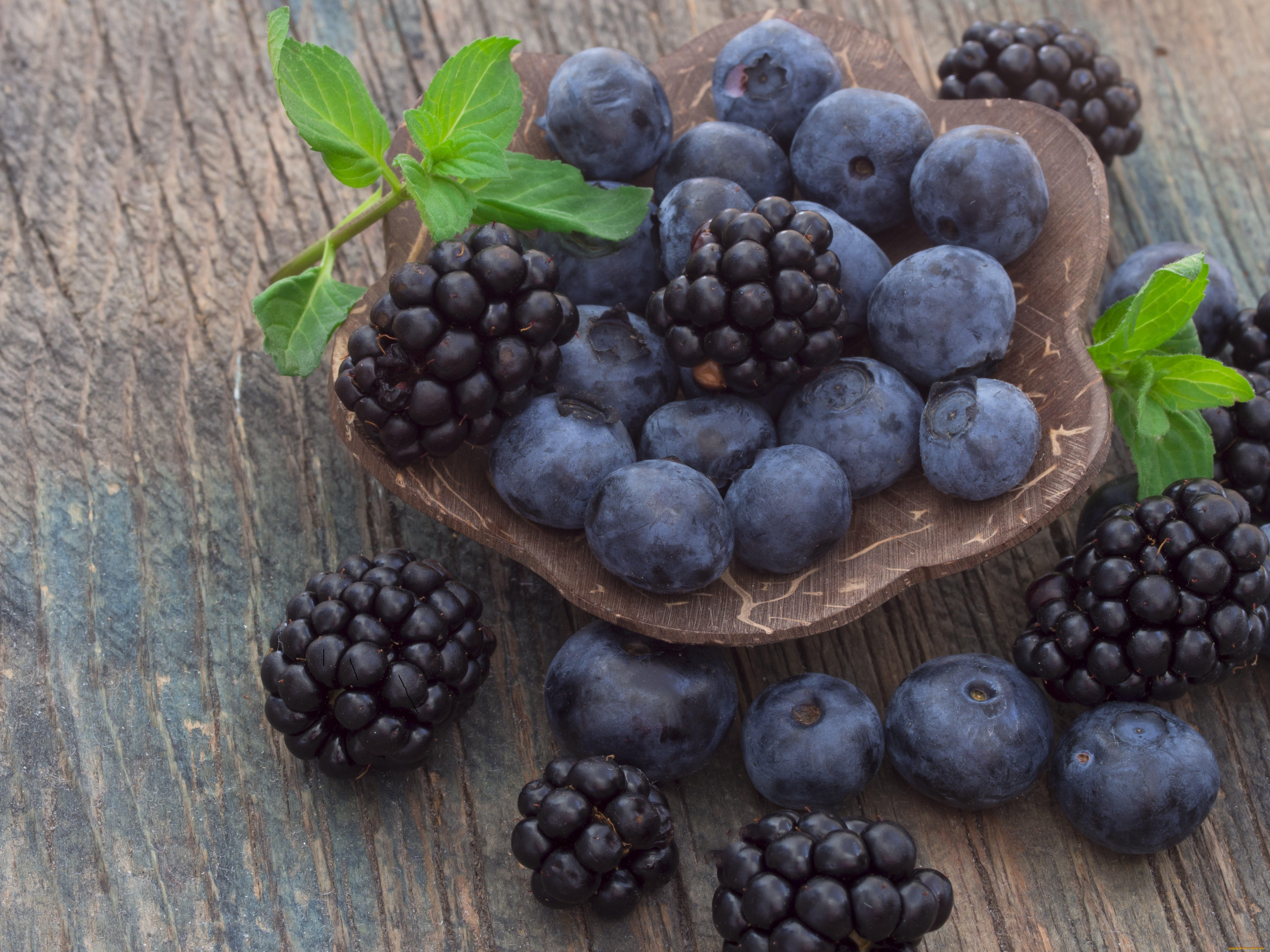 еда, фрукты, , ягоды, ягода, черника, мята, ежевика