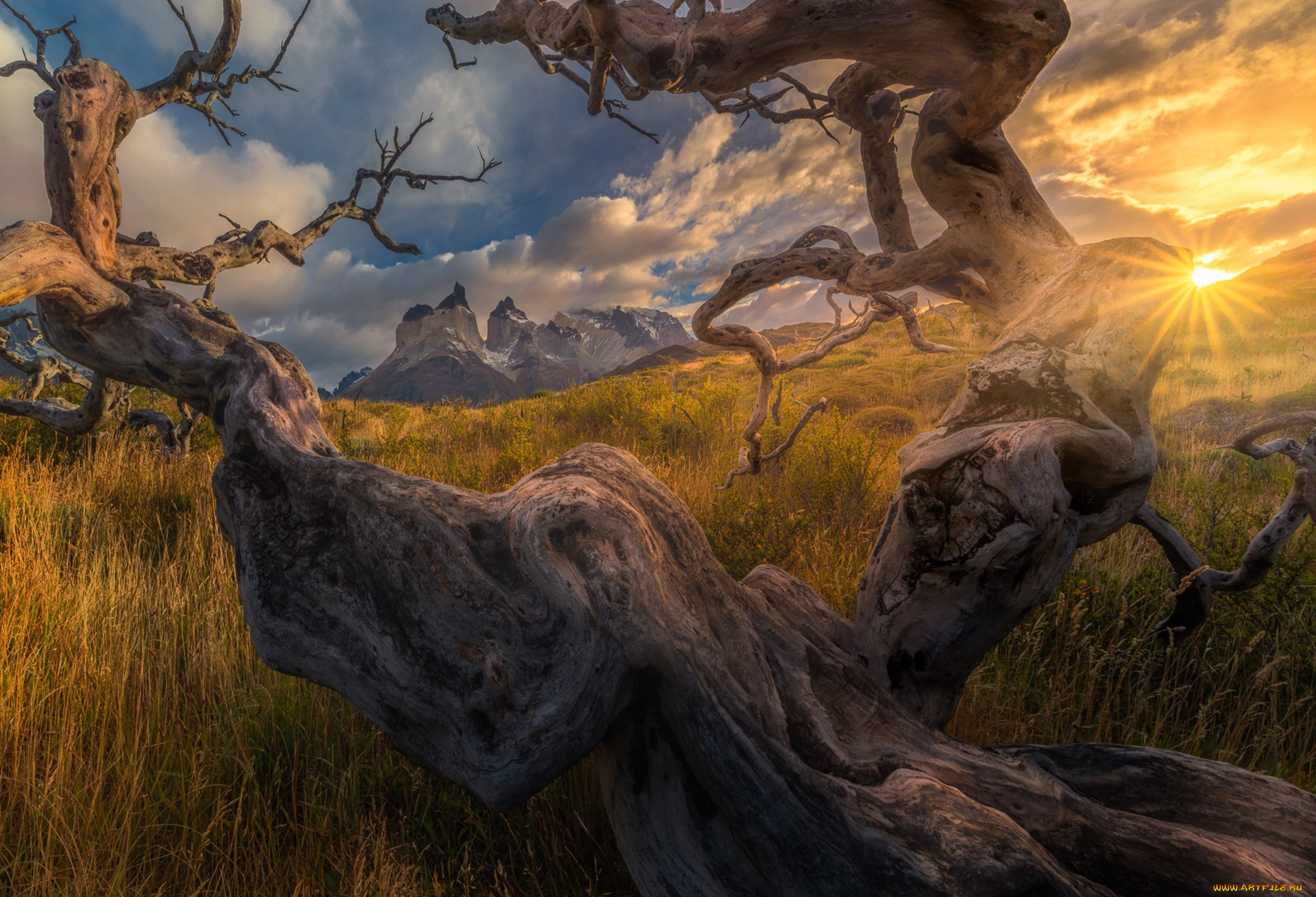 природа, восходы, закаты, простор