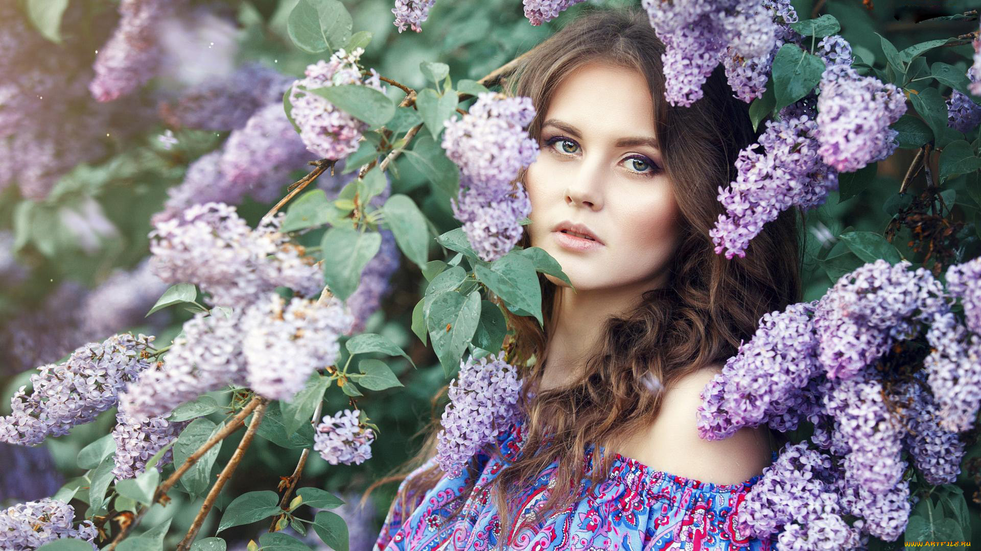 девушки, -, брюнетки, , шатенки, сирень