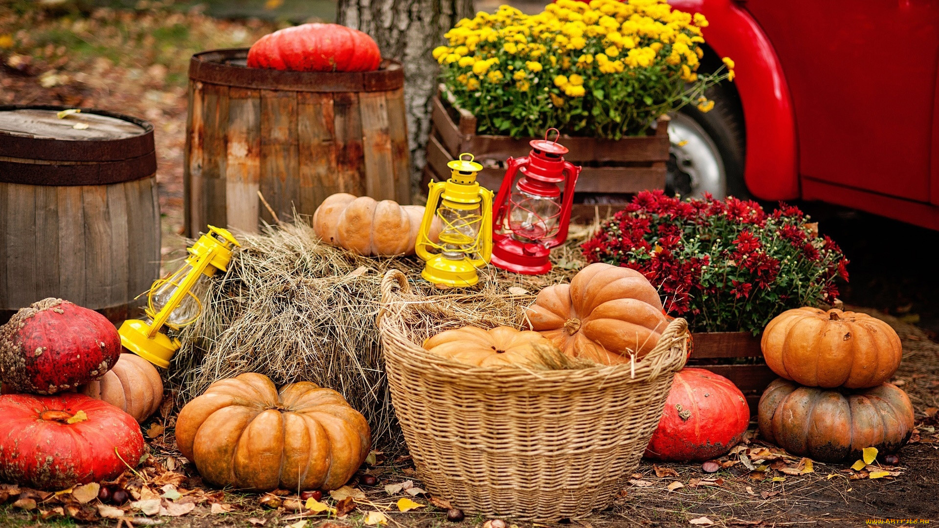 еда, тыква, фонари, хризантемы, тыквы, осень, урожай