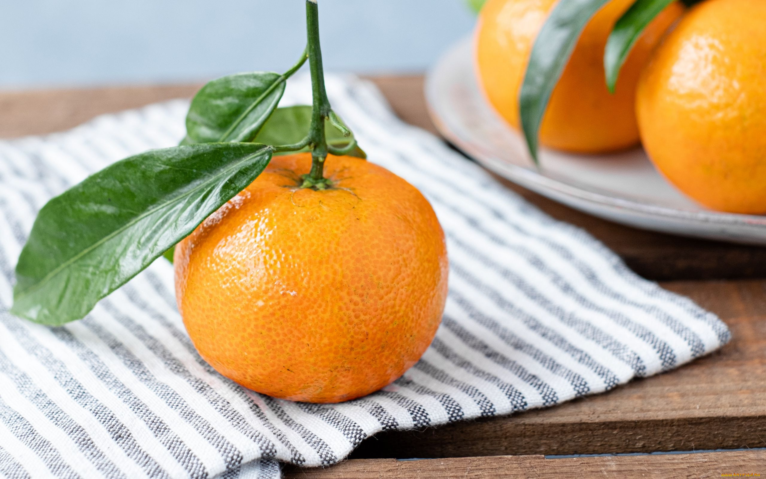 еда, цитрусы, мандарины