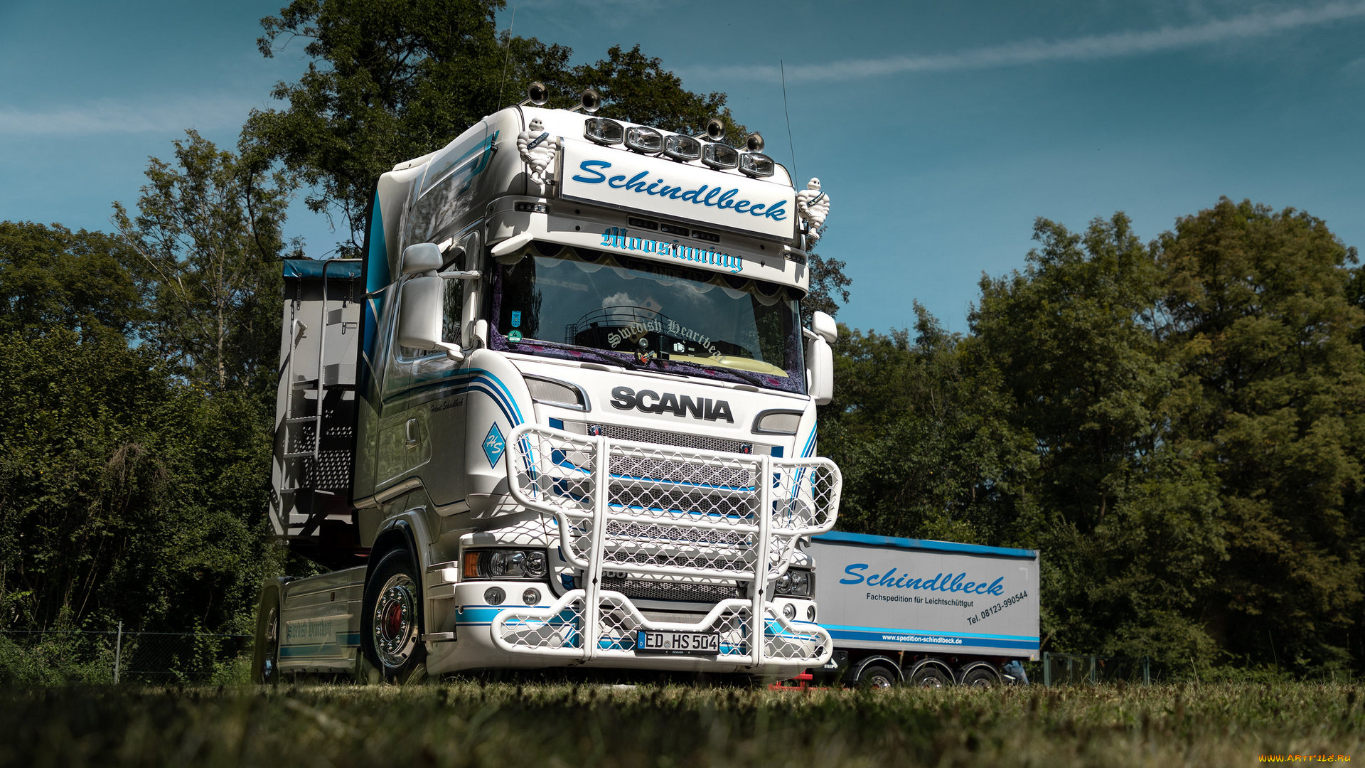 автомобили, scania, moosinning, shingleback, грузовик