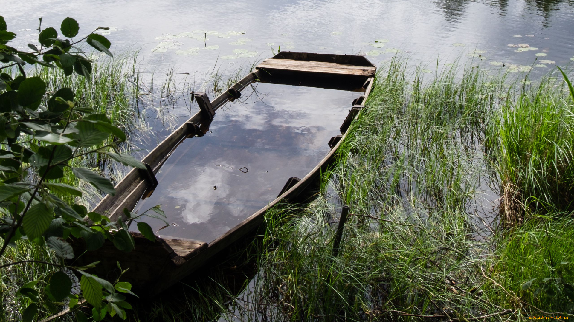 корабли, лодки, , шлюпки, река, лодка, камыши