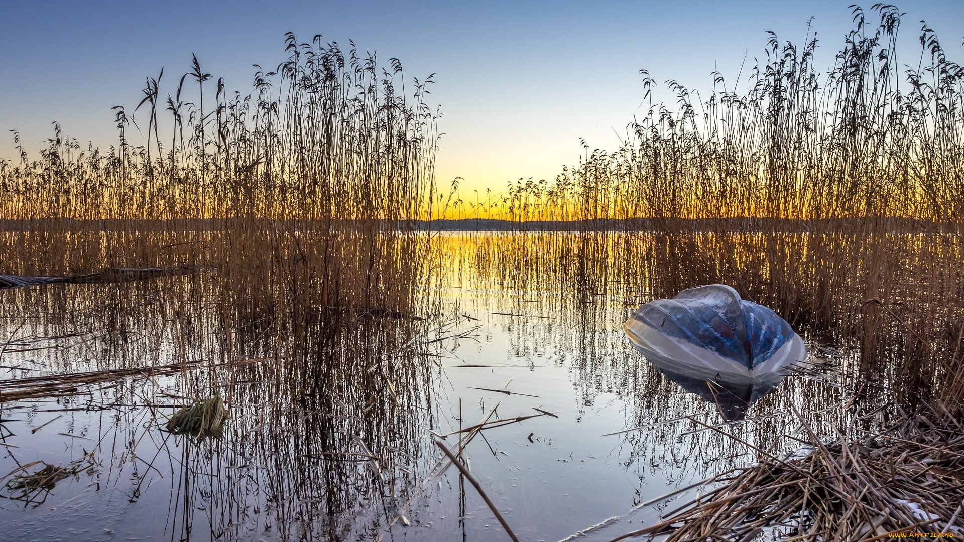 корабли, лодки, , шлюпки, река, лодка, перевернутая, камыши