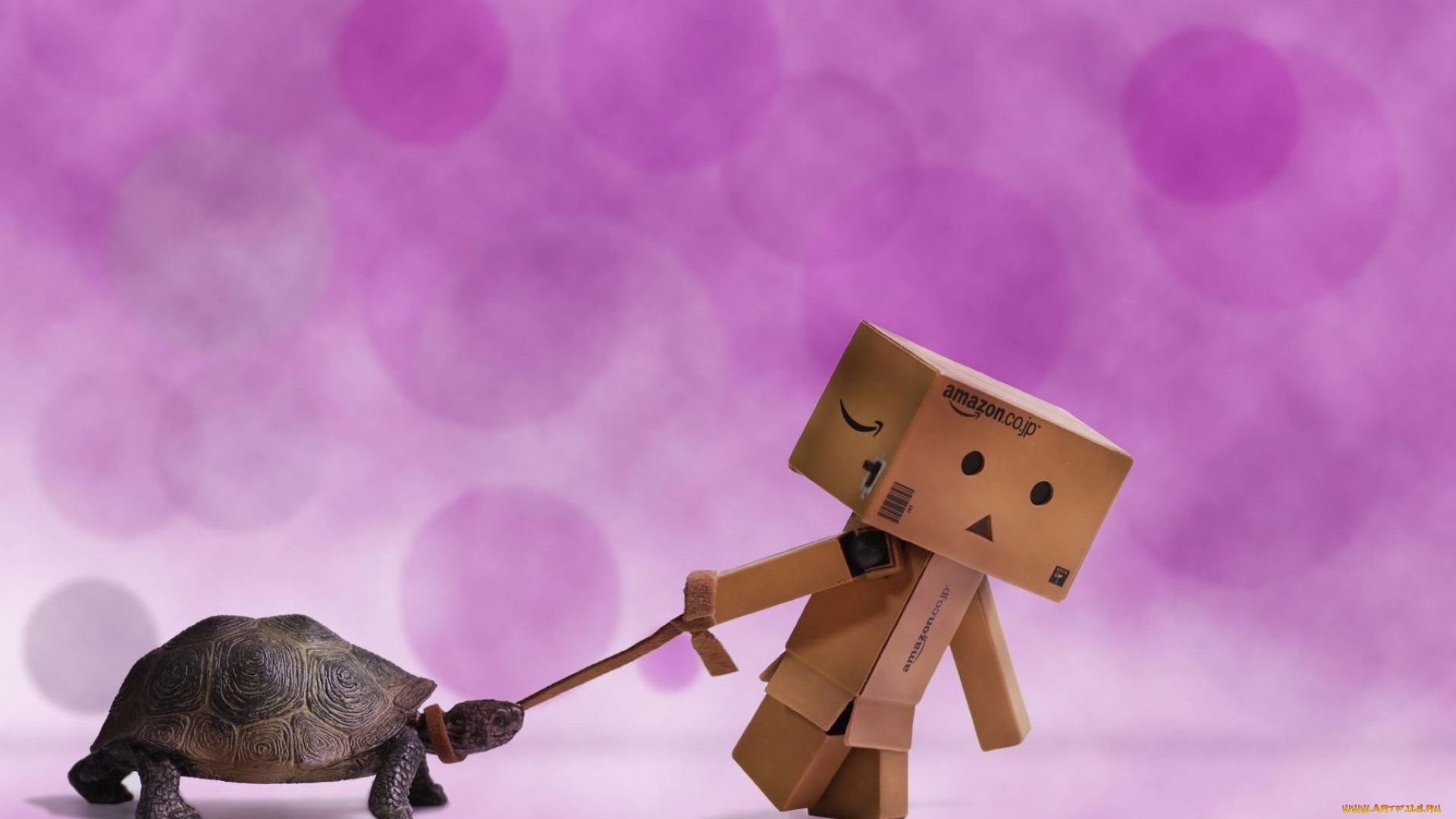 разное, данбо, , danboard, человечек, коробки, поводок, черепаха