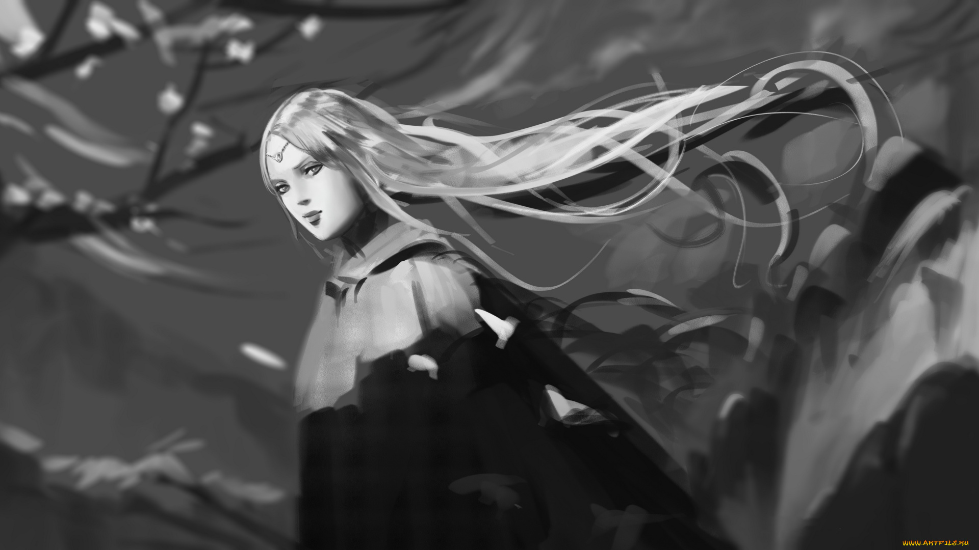 tera, , the, next, видео, игры, девушка, фон, взгляд