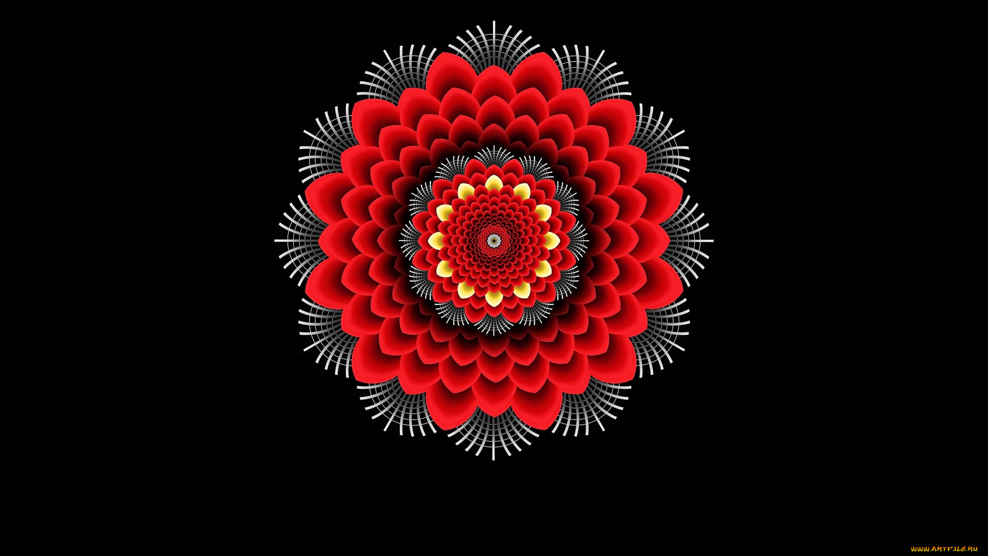 векторная, графика, цветы, , flowers, цветок, орнамент