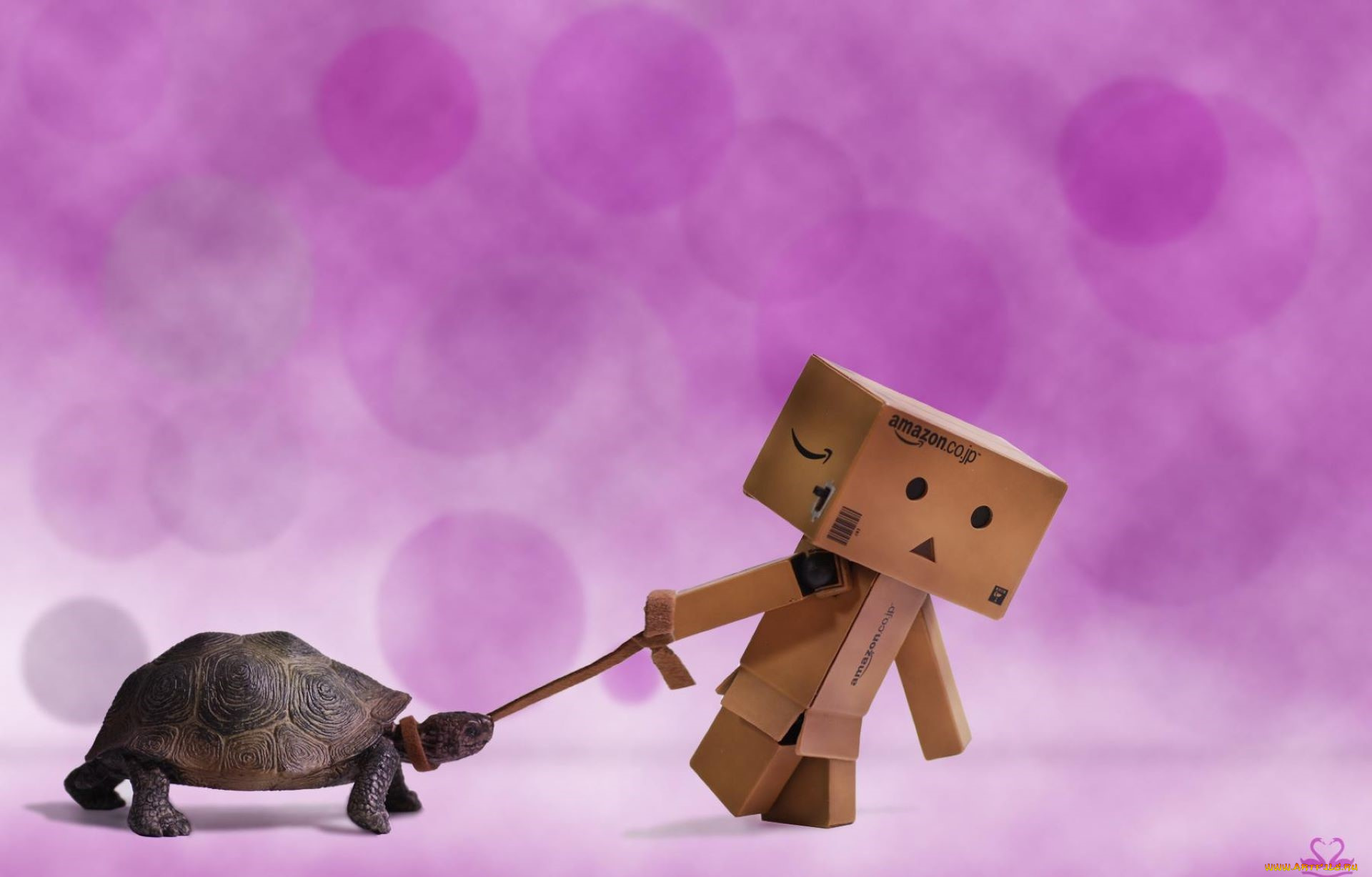 разное, данбо, , danboard, человечек, коробки, поводок, черепаха