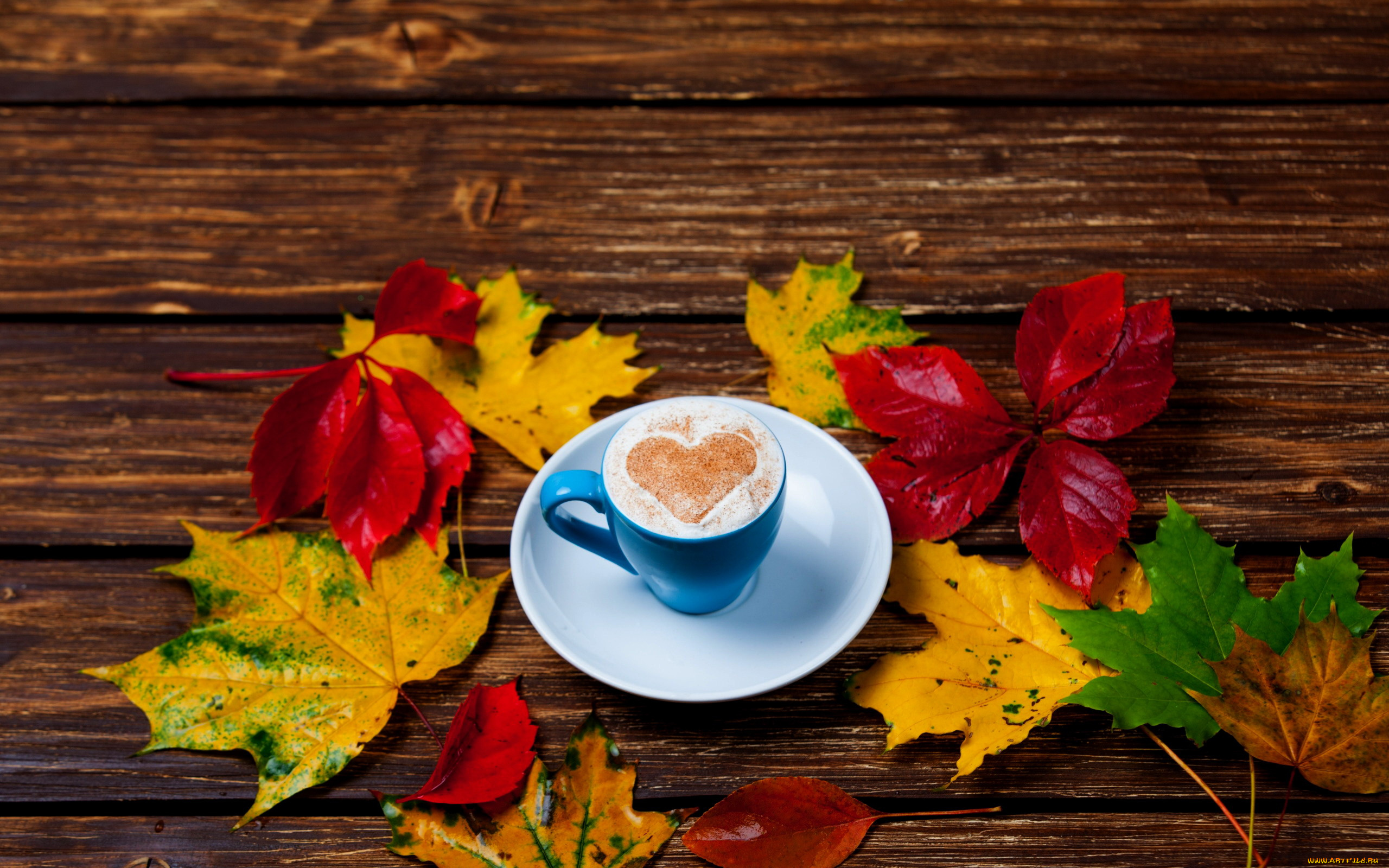 еда, кофе, , кофейные, зёрна, листья, кленовые, чашка