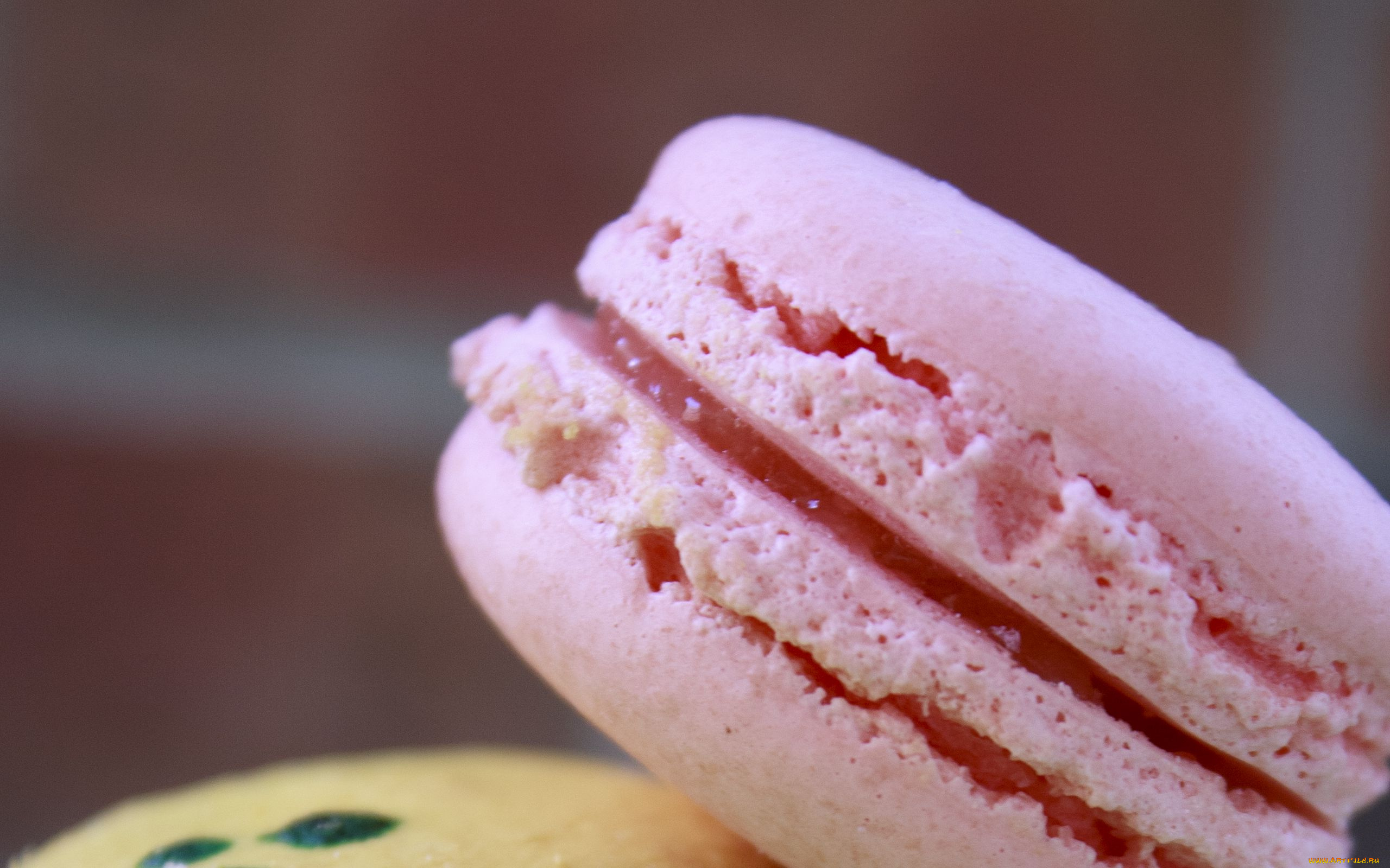 еда, макаруны, печенье, лакомство