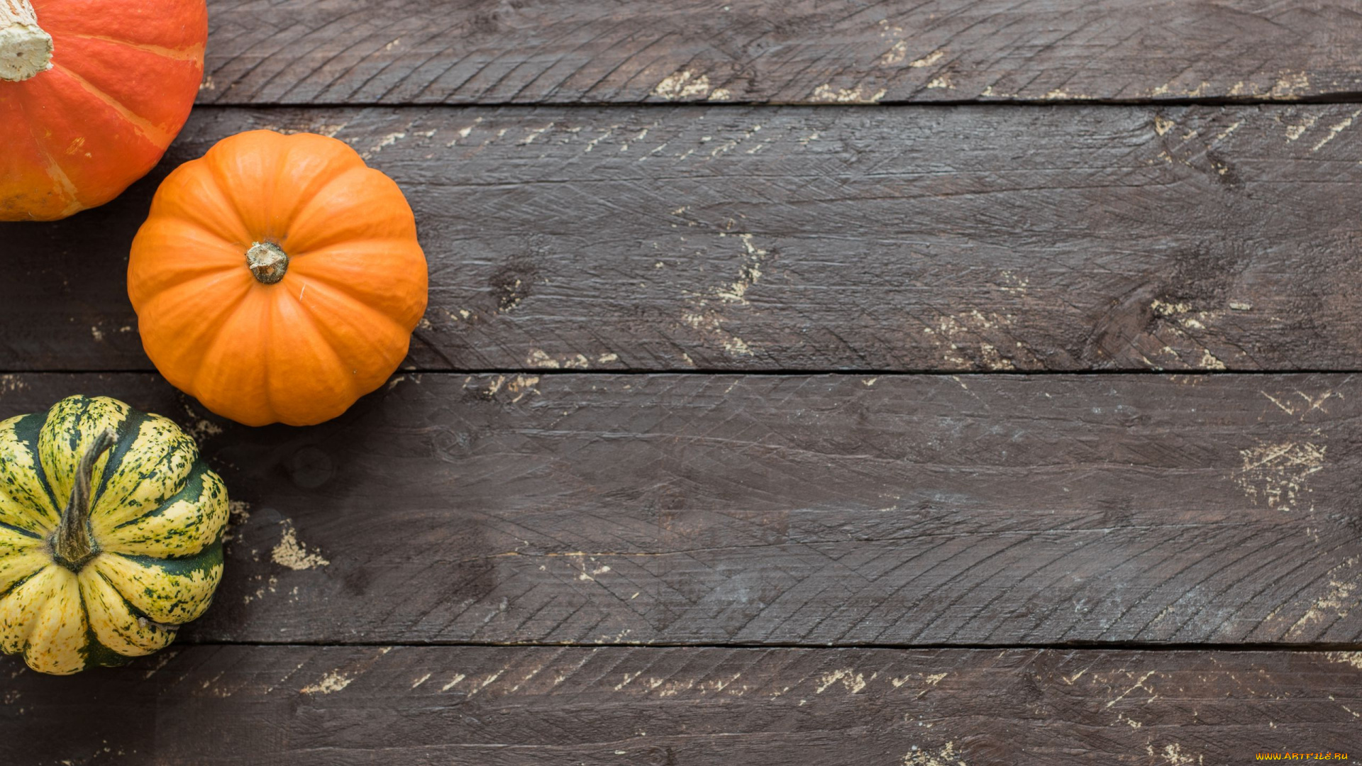 еда, тыква, разноцветные, тыквы