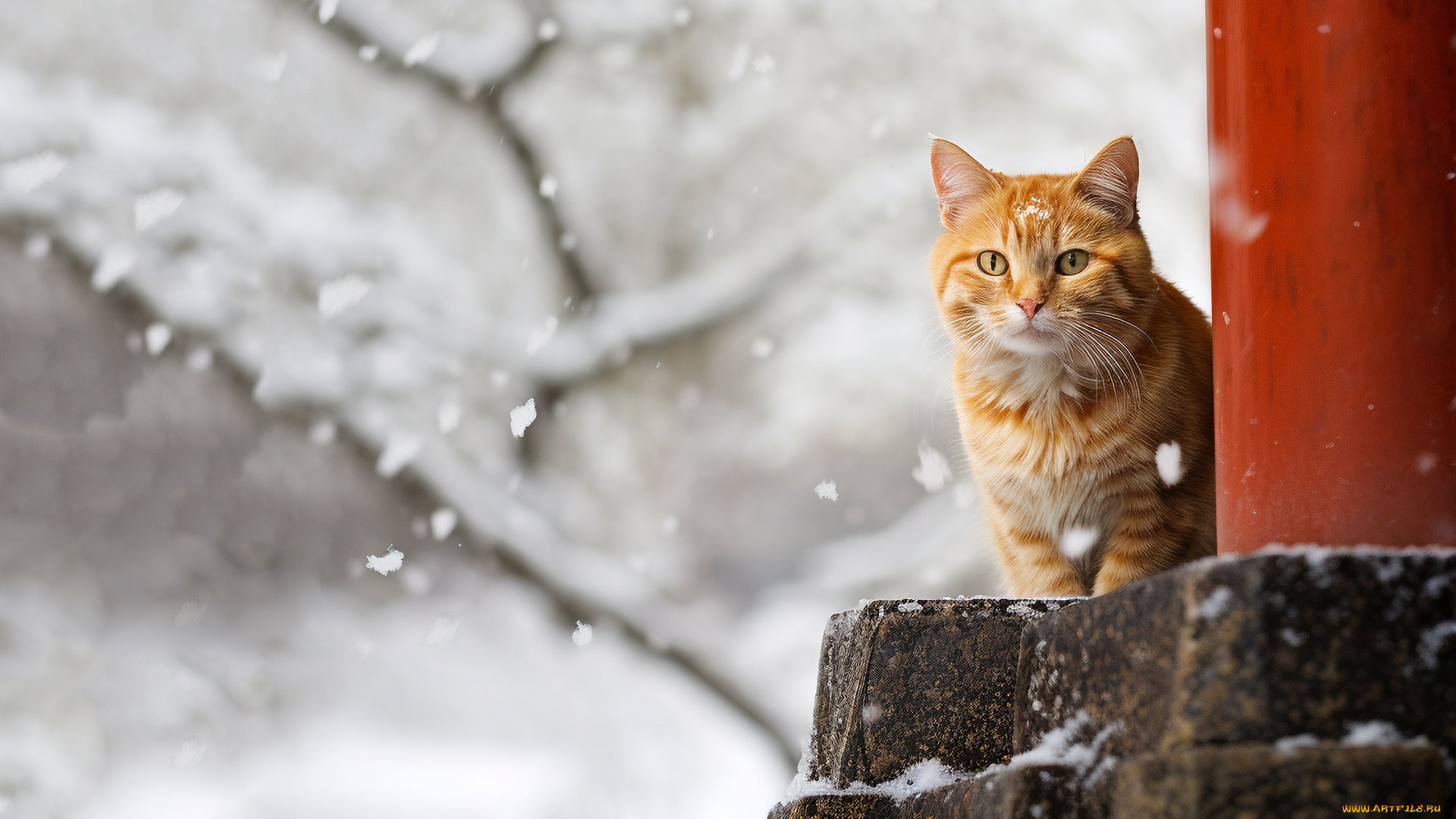 рисованное, животные, , коты, нейросети, графика, нейроарт, ai, art, нейронные, сети, рисунки, нейро, искусство