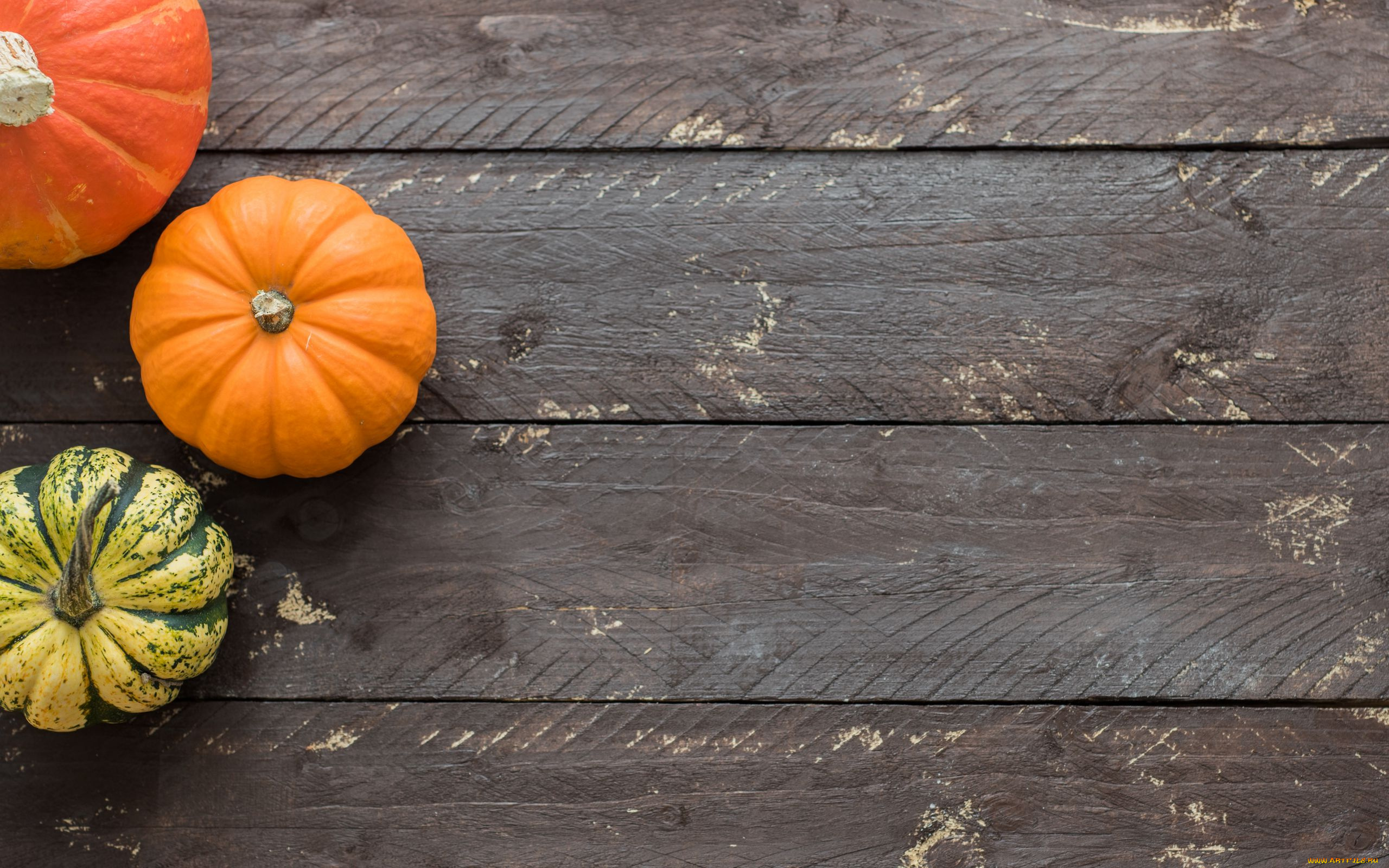 еда, тыква, разноцветные, тыквы