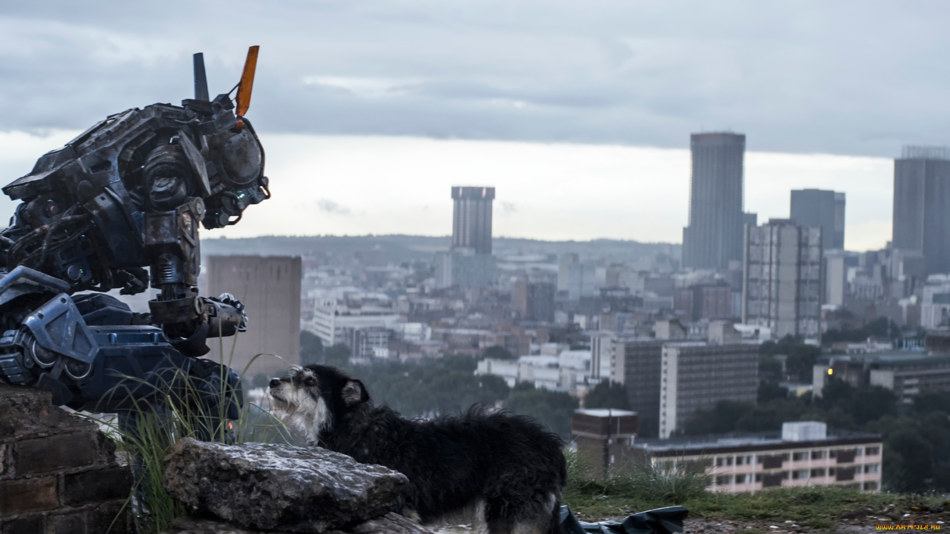 кино, фильмы, chappie