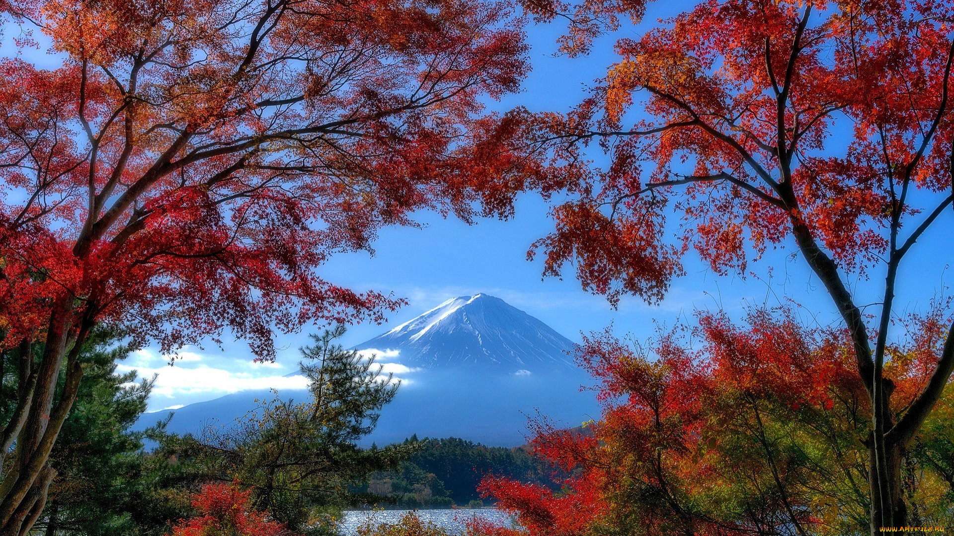 природа, горы, гора, река, лес, осень, деревья