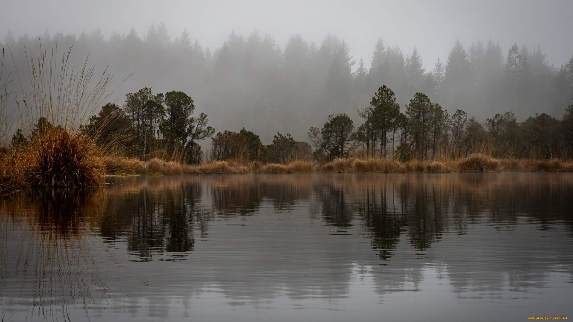 природа, реки, озера, осень