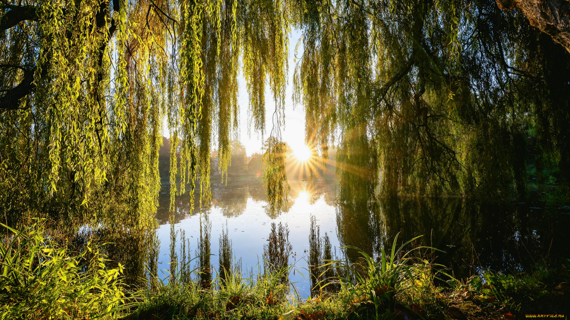 природа, реки, озера, пейзаж