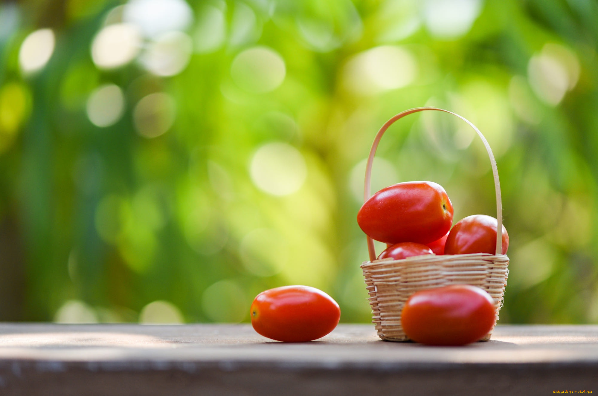 еда, помидоры, томаты