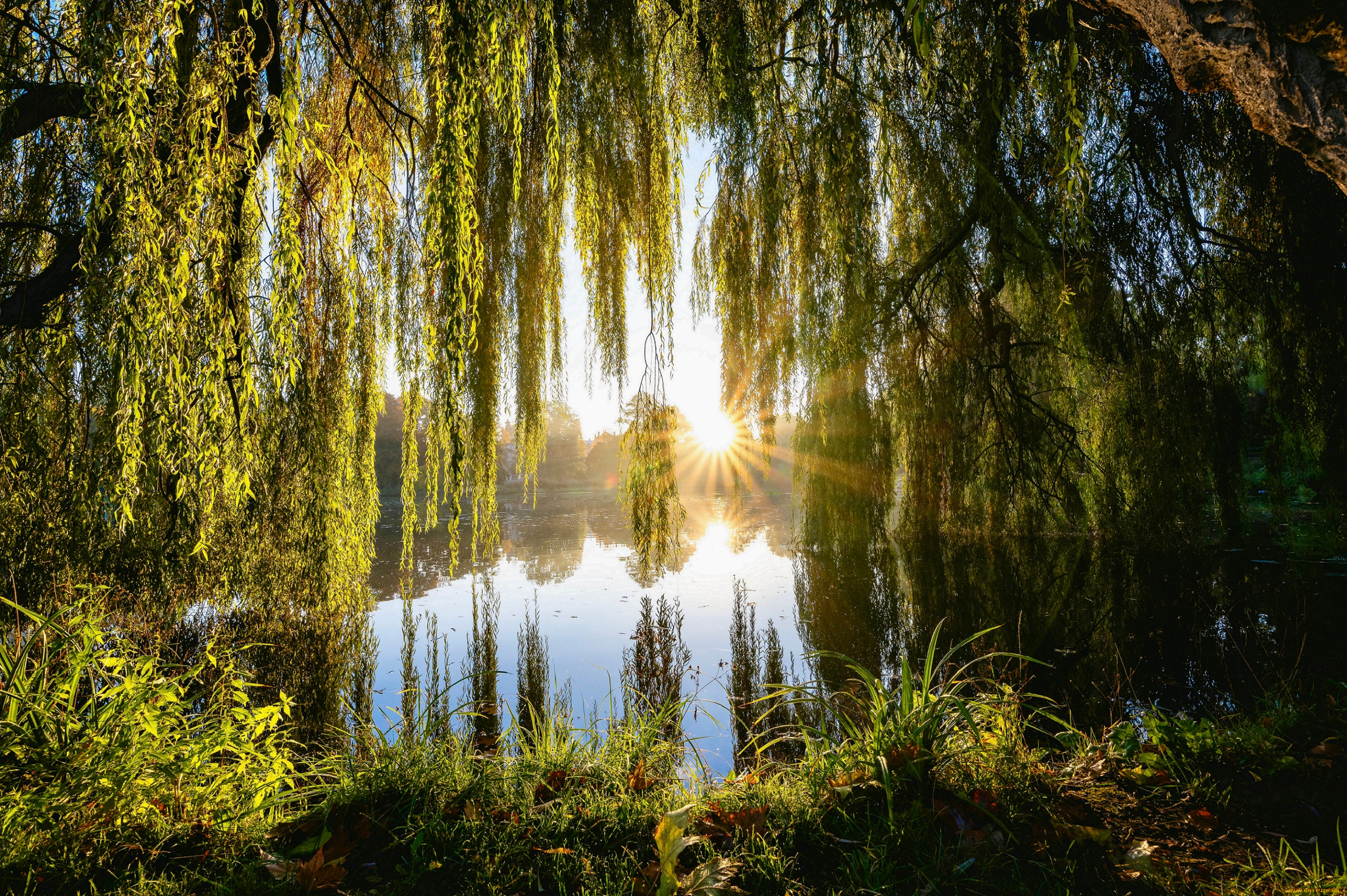 природа, реки, озера, пейзаж