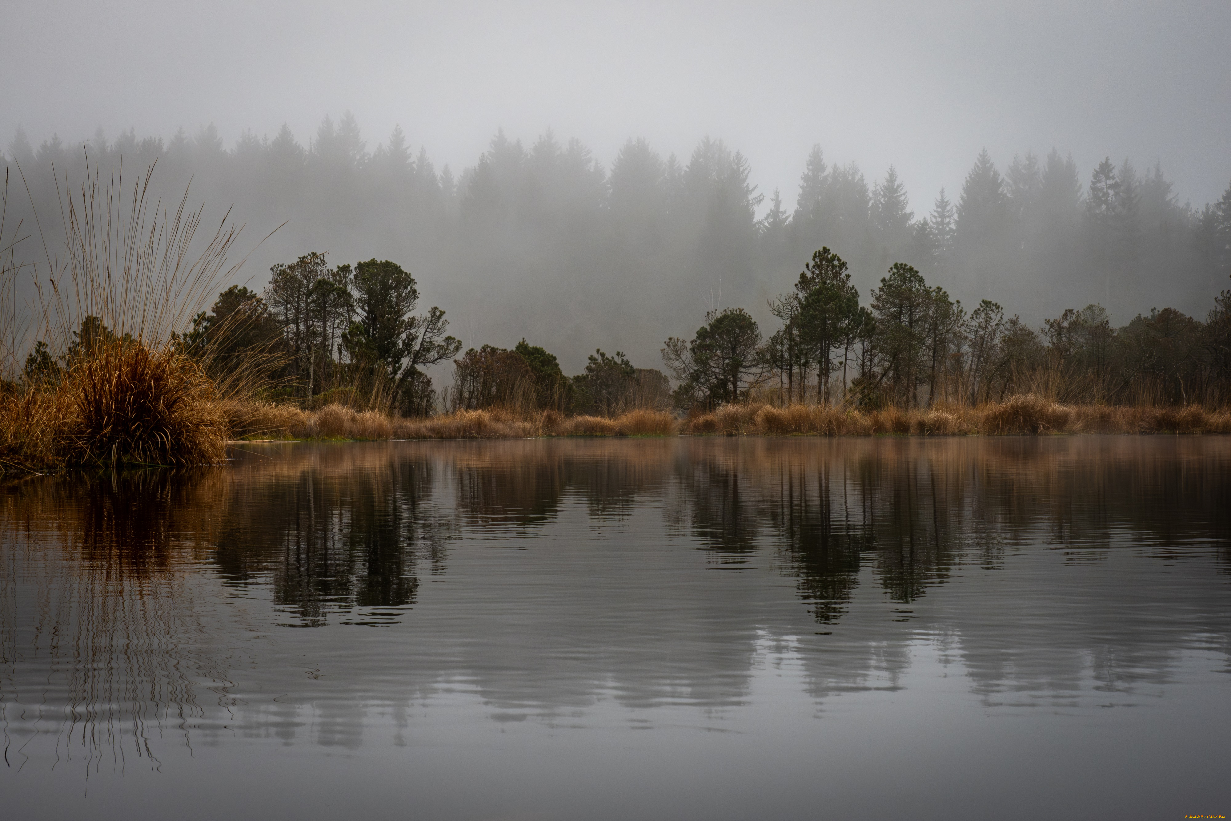 природа, реки, озера, осень