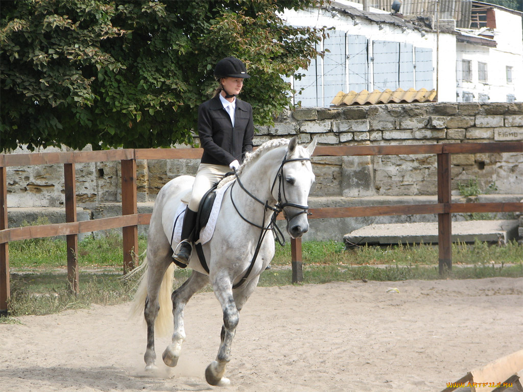 спорт, конный