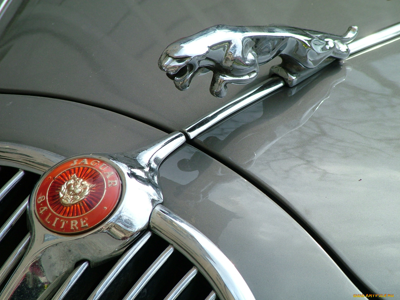 бренды, авто, мото, jaguar