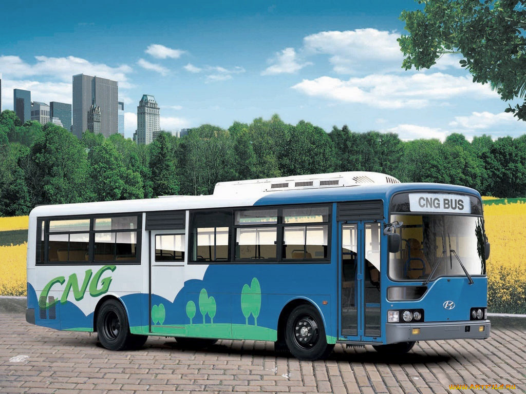 автомобили, автобусы