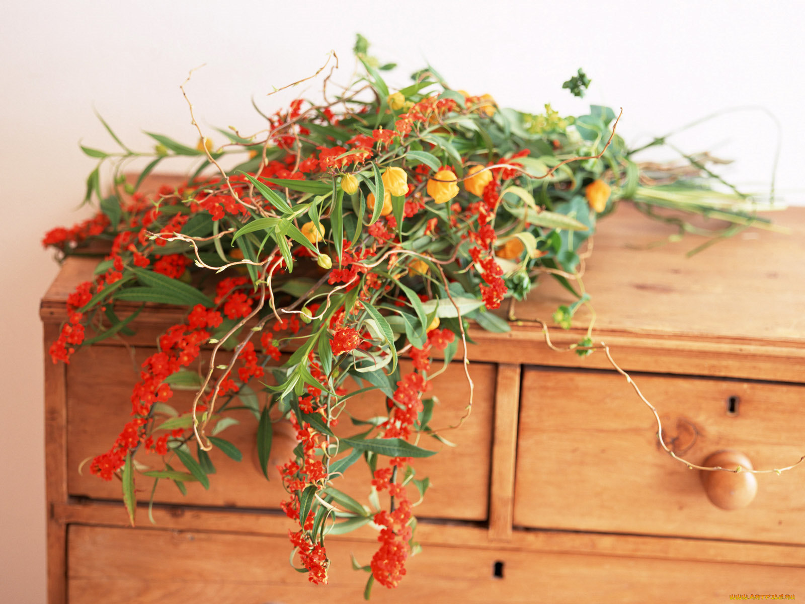 цветы, букеты, композиции