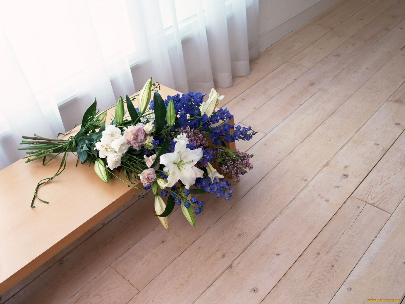 цветы, букеты, композиции