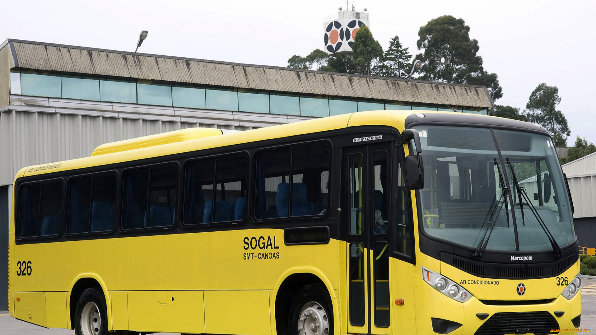 автомобили, автобусы