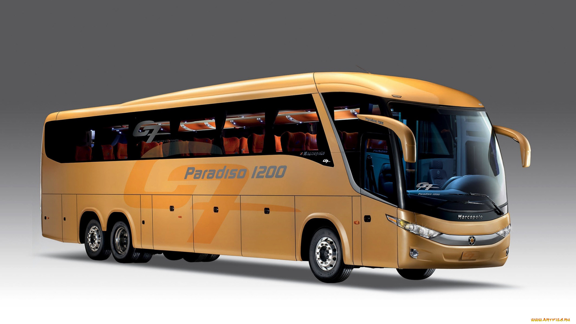 автомобили, автобусы