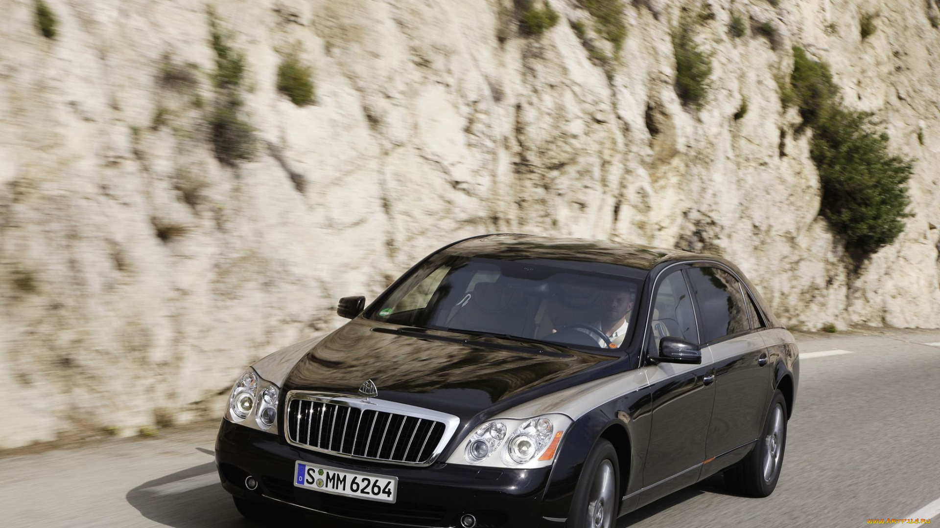 автомобили, maybach