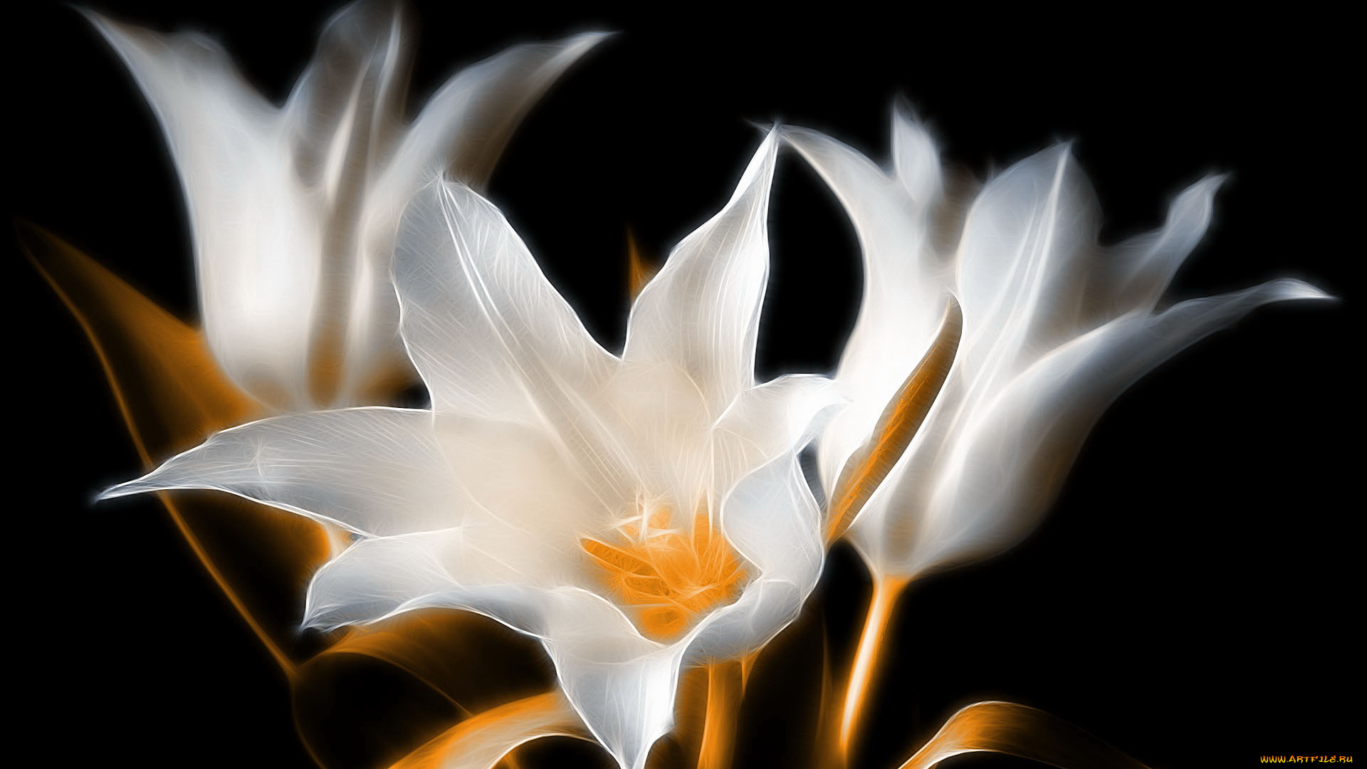 3д, графика, flowers, цветы