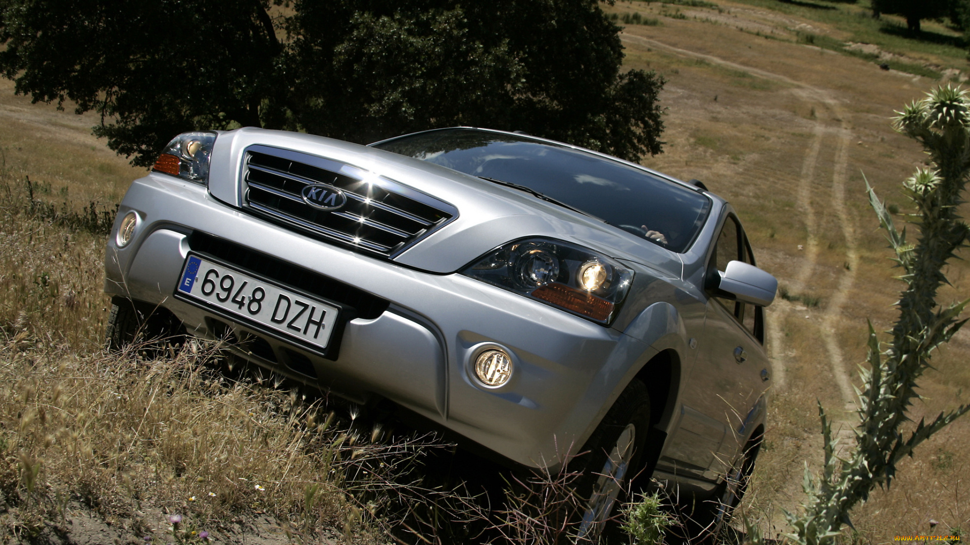 автомобили, kia