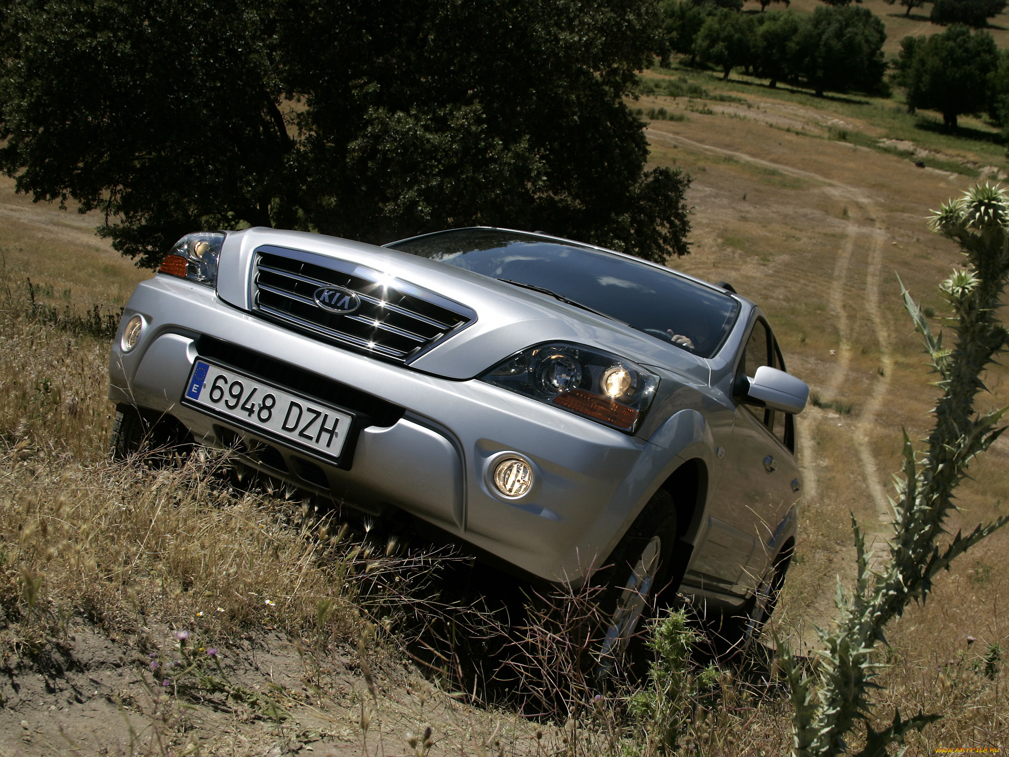 автомобили, kia