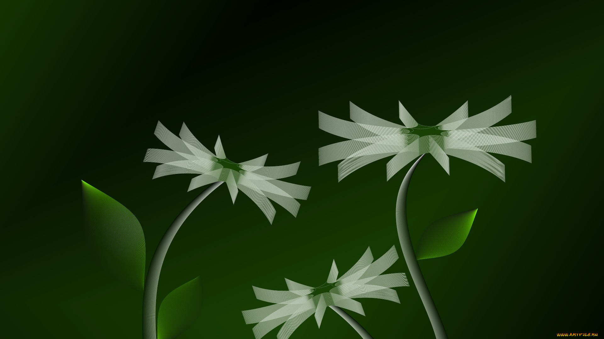 3д, графика, flowers, цветы, color, flower