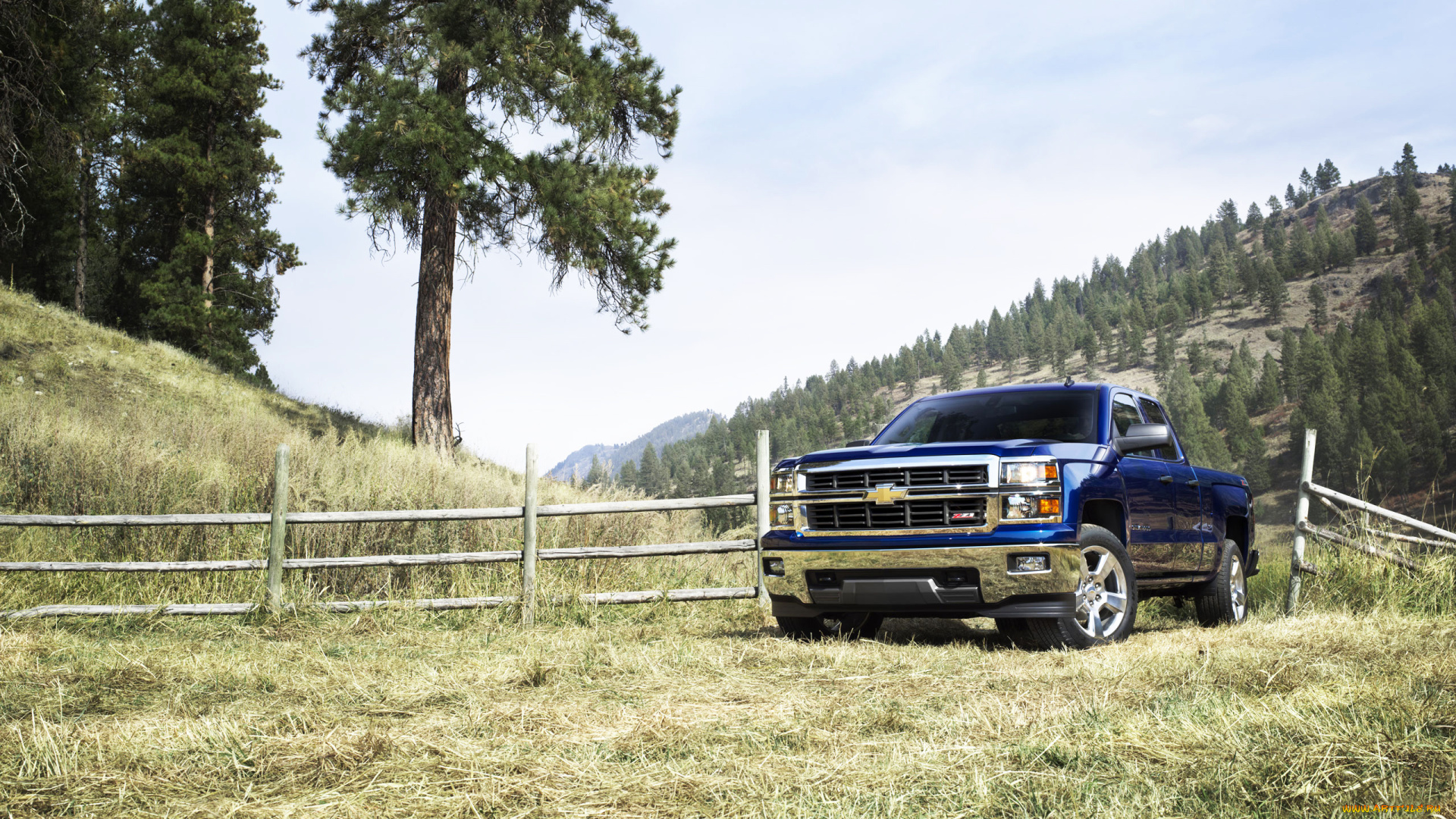 автомобили, chevrolet, луг, синий