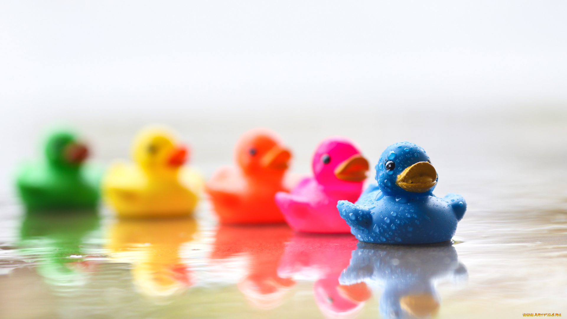 цветные, уточки, разное, игрушки, утки, разноцветные