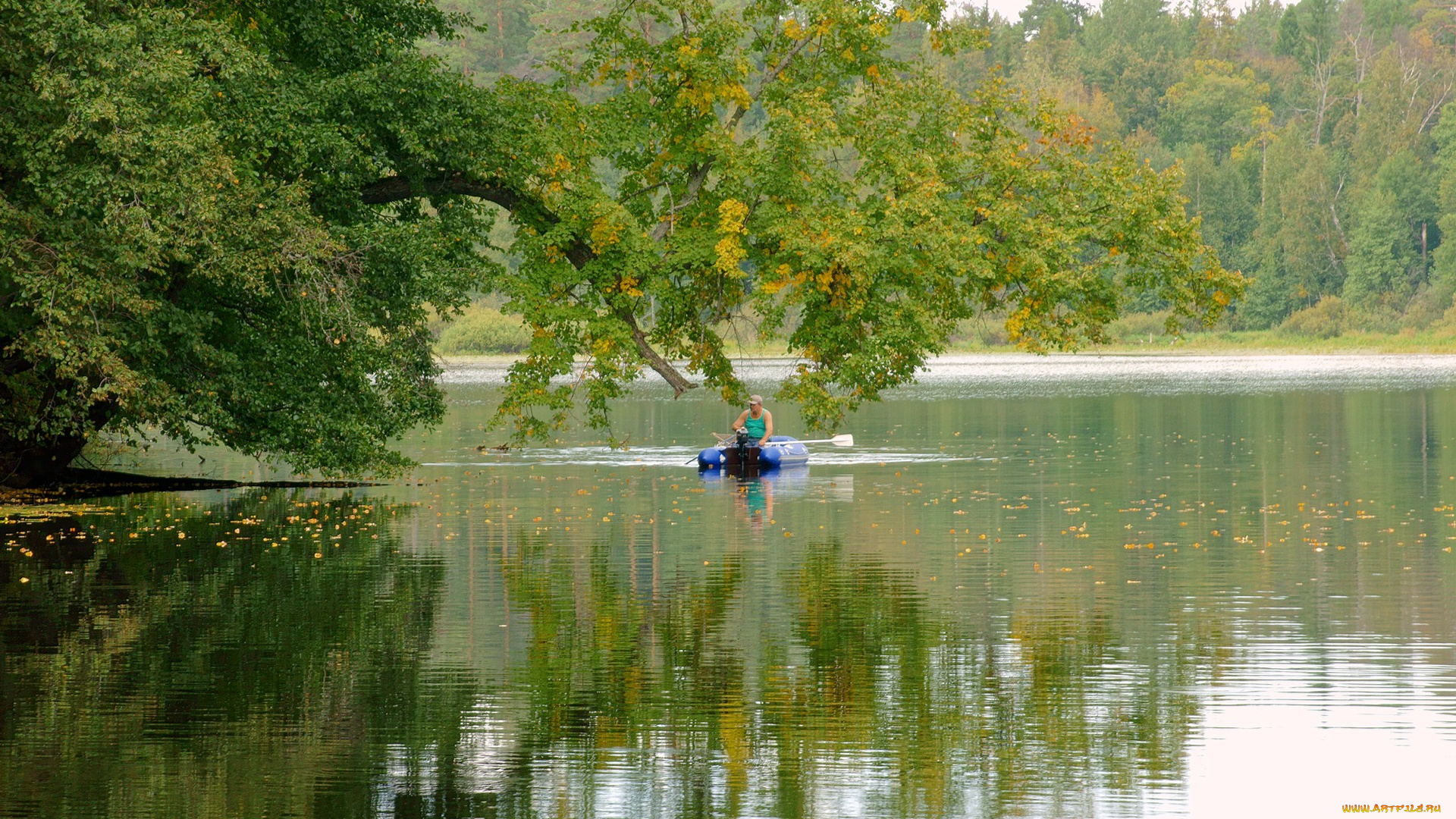 нижегородский, край, природа, реки, озера, лодка, рыбак, лес, озеро